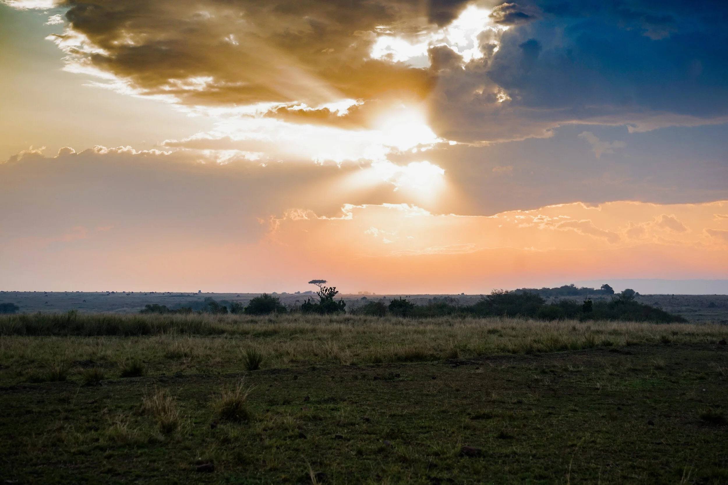 DSC04318-HDR.jpg