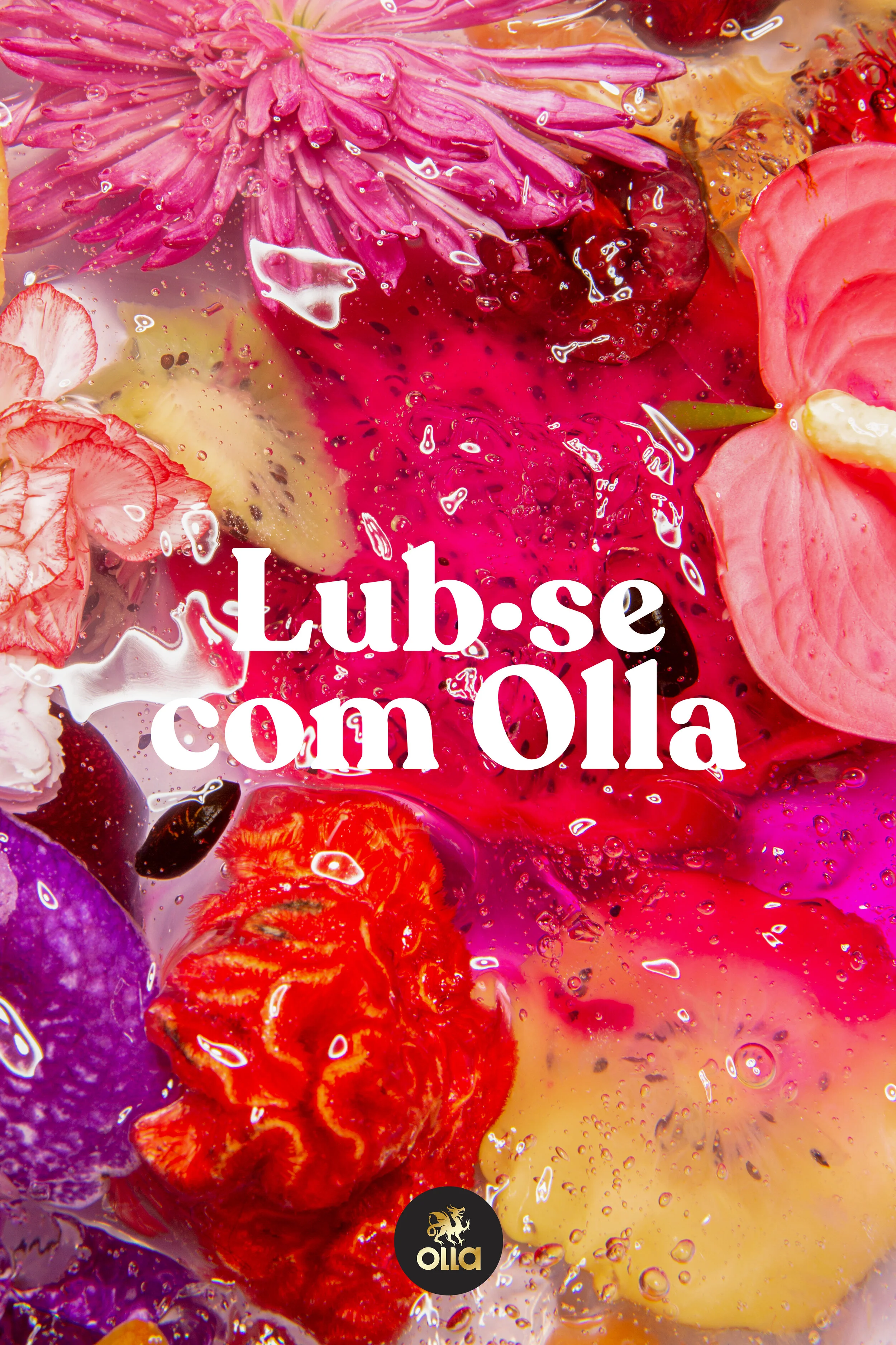 OLLA POSTER 3.jpg
