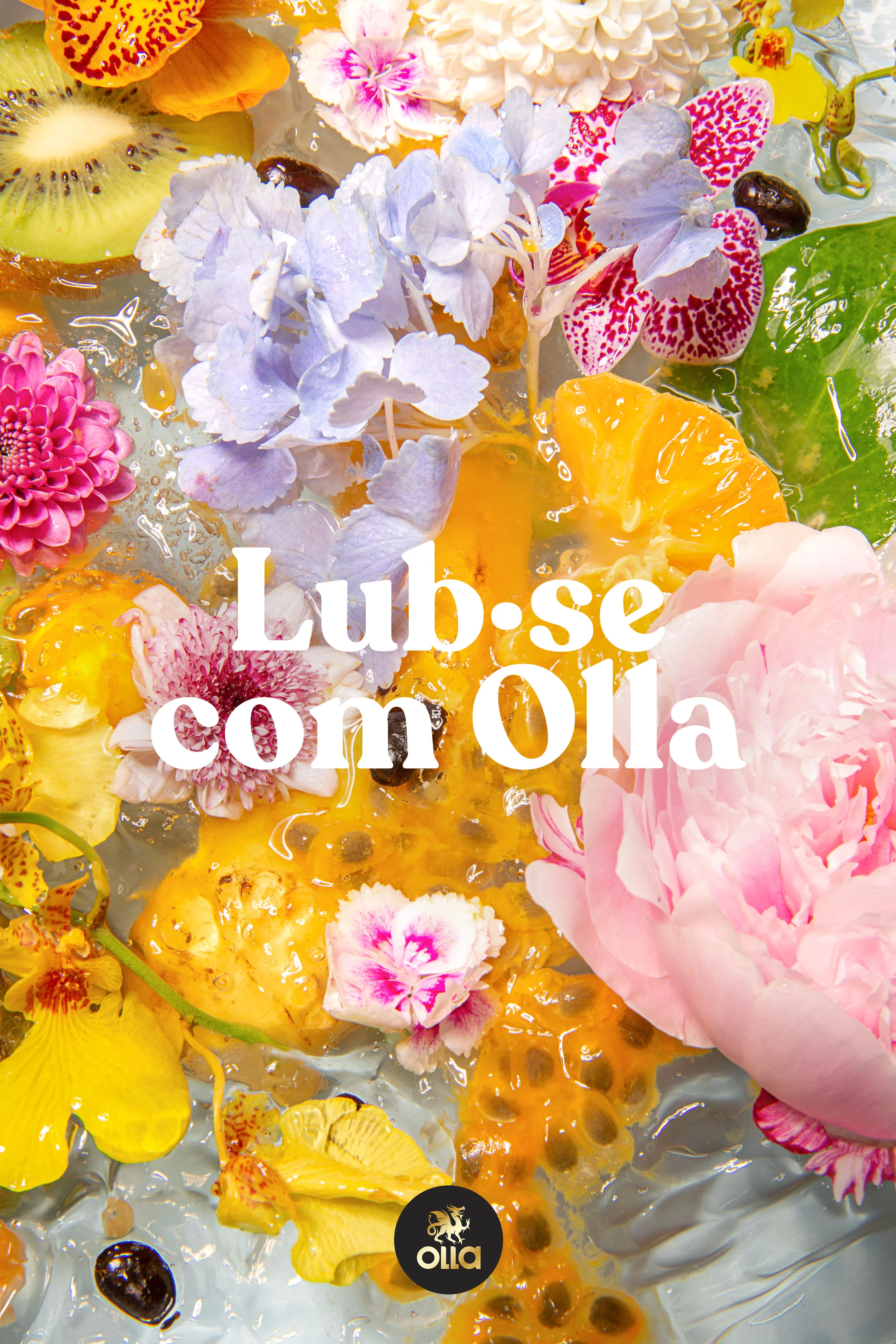 OLLA POSTER 2.jpg