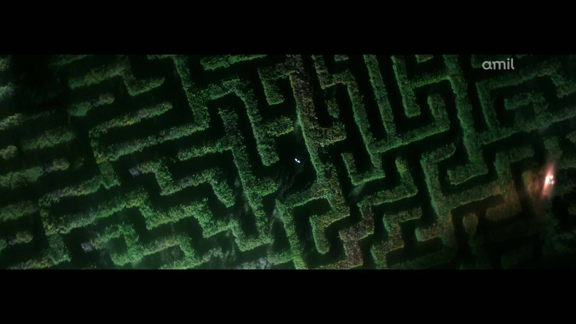 FRAME AMIL 03.png