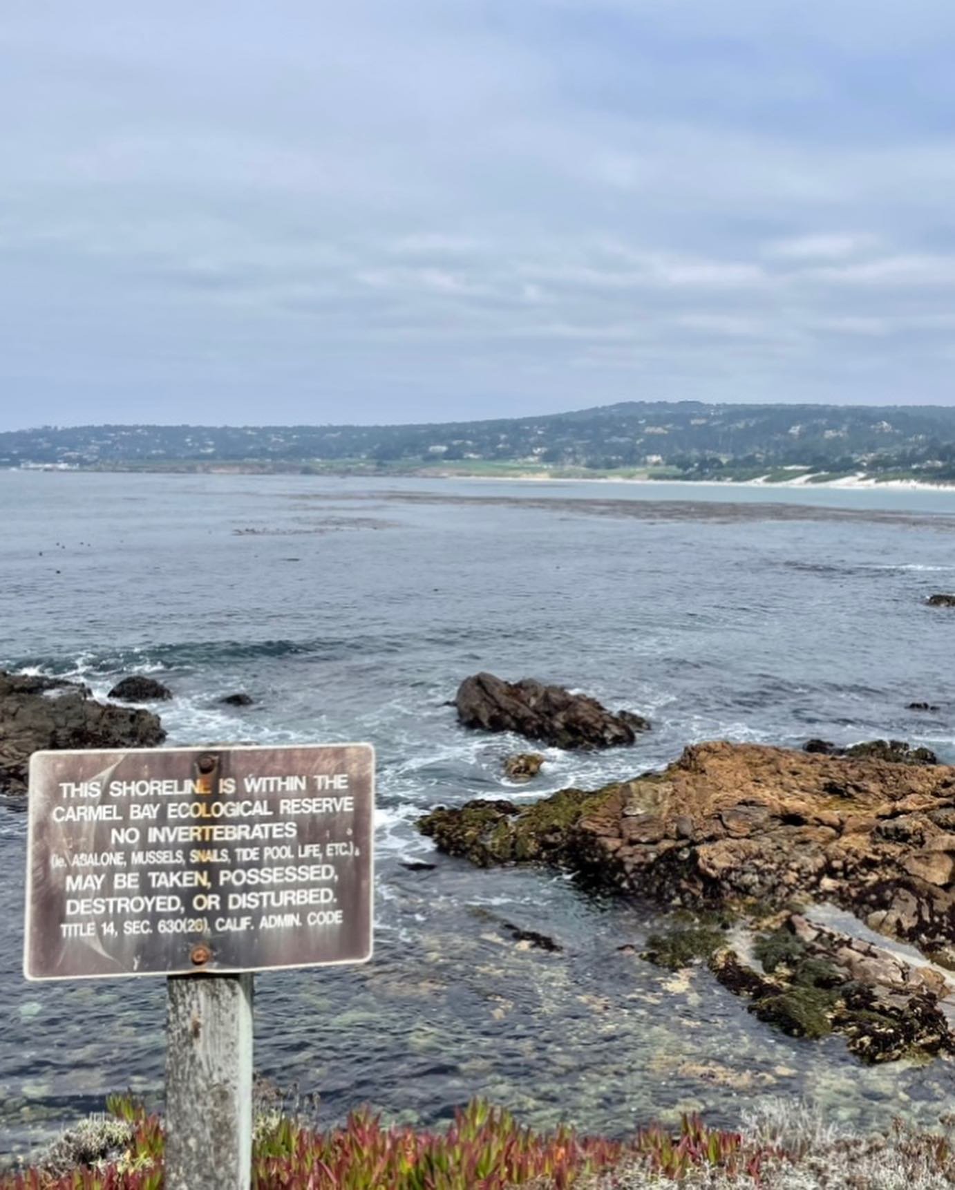 I&rsquo;m always on the road, usually near the brink of some disguised revelation, or constantly running a fool&rsquo;s errand, and this overcast California summer was no exception!