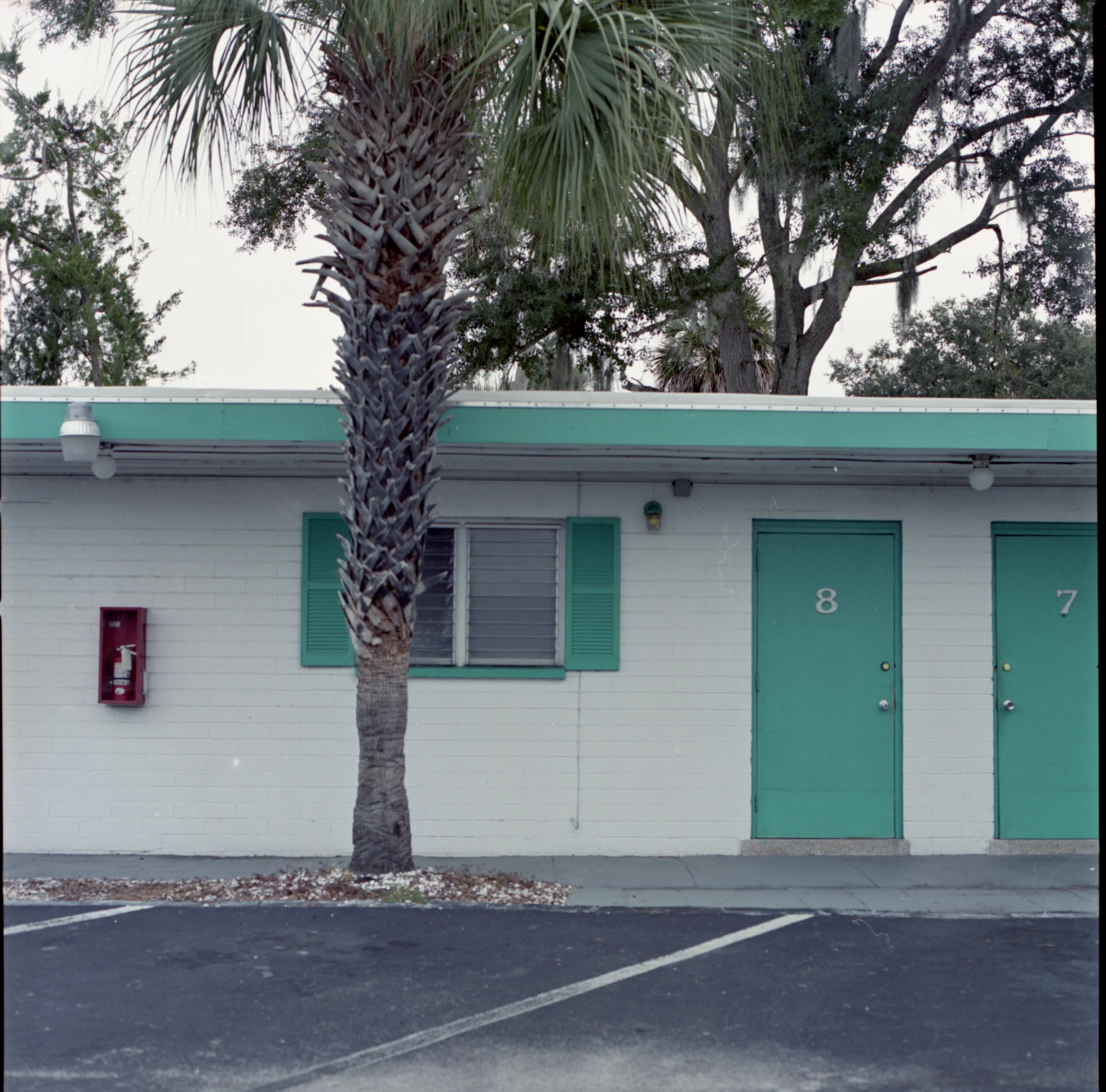 img049.jpg