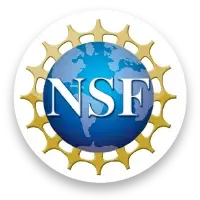 NSF.webp