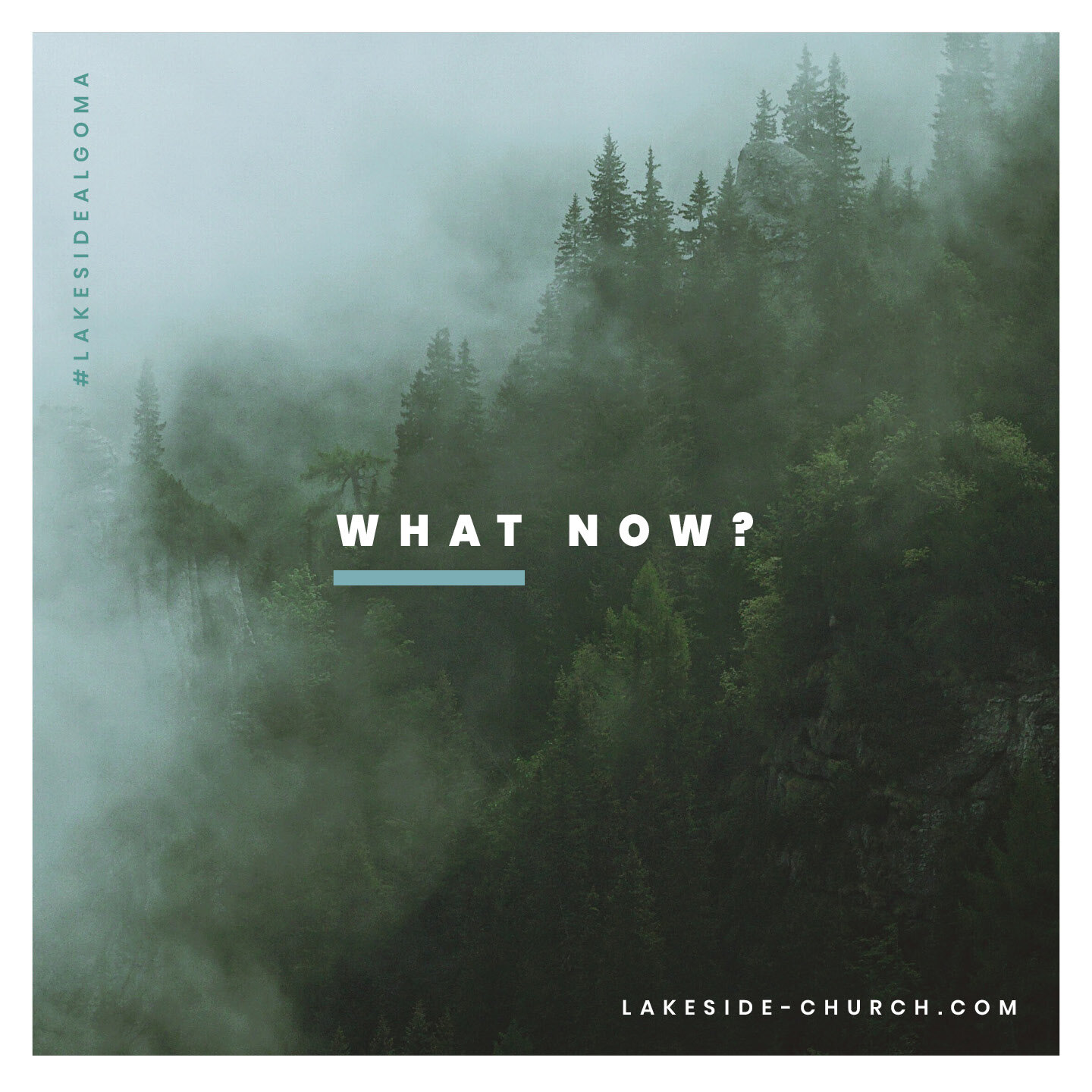 What Now: Perspective episode artwork