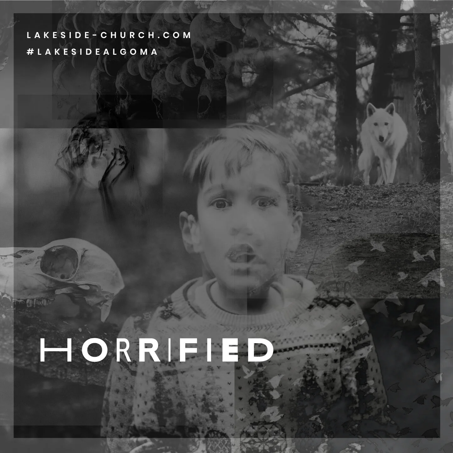Horrified: Zombies episode artwork