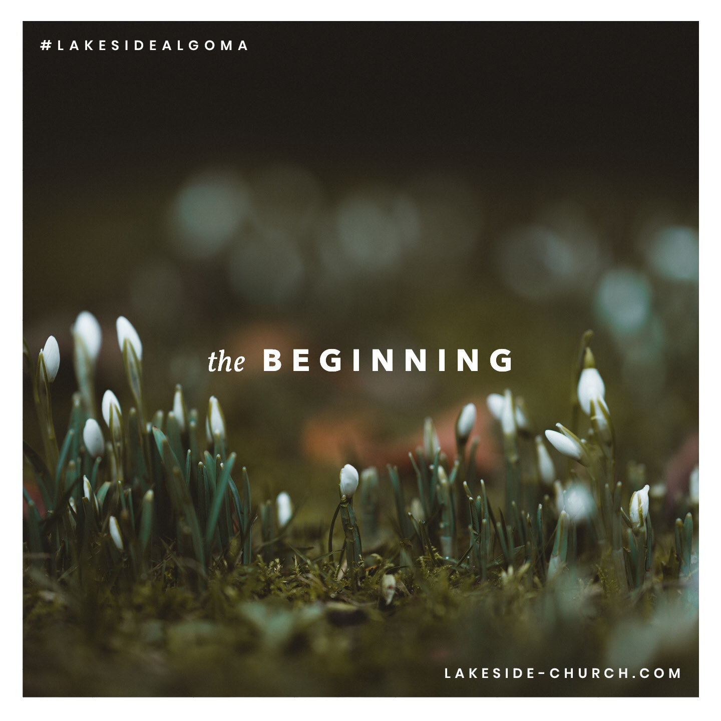 The Beginning: Division & Design episode artwork