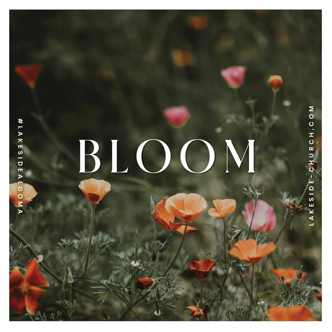 Bloom: Part 1 episode artwork