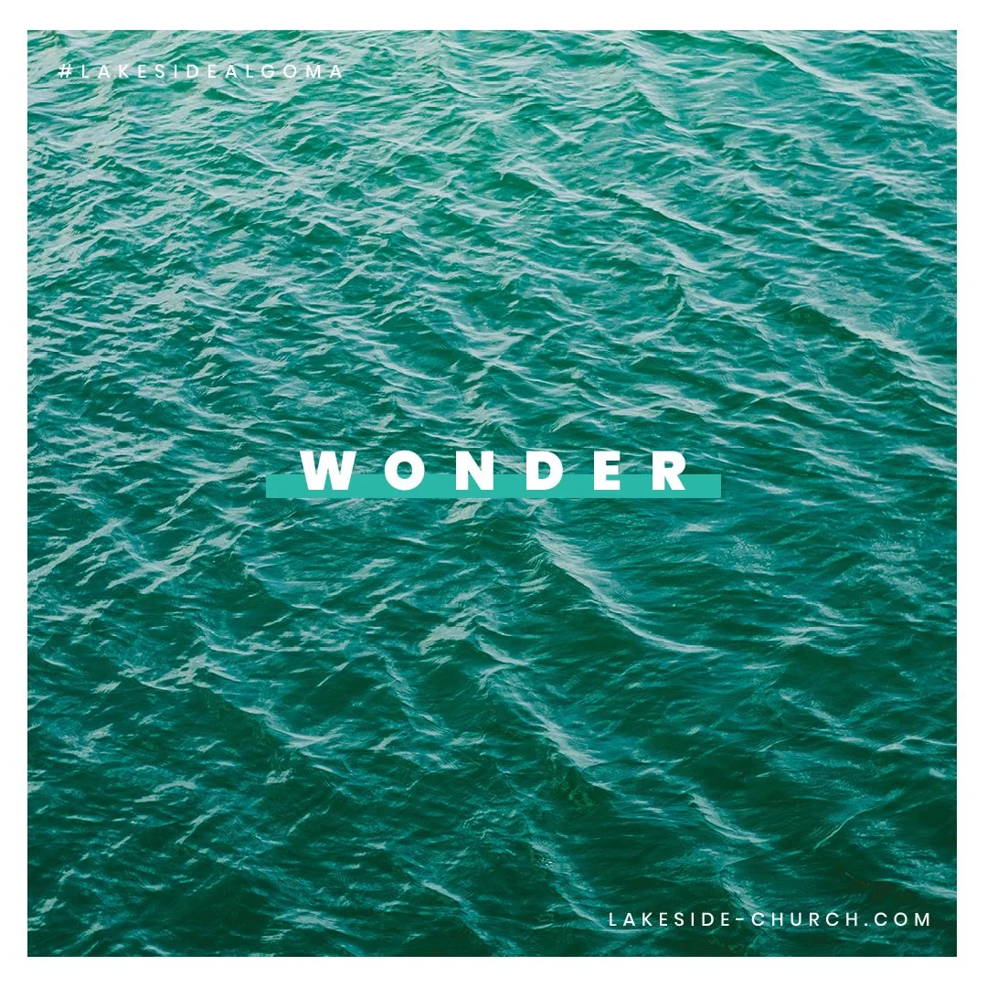 Wonder episode artwork