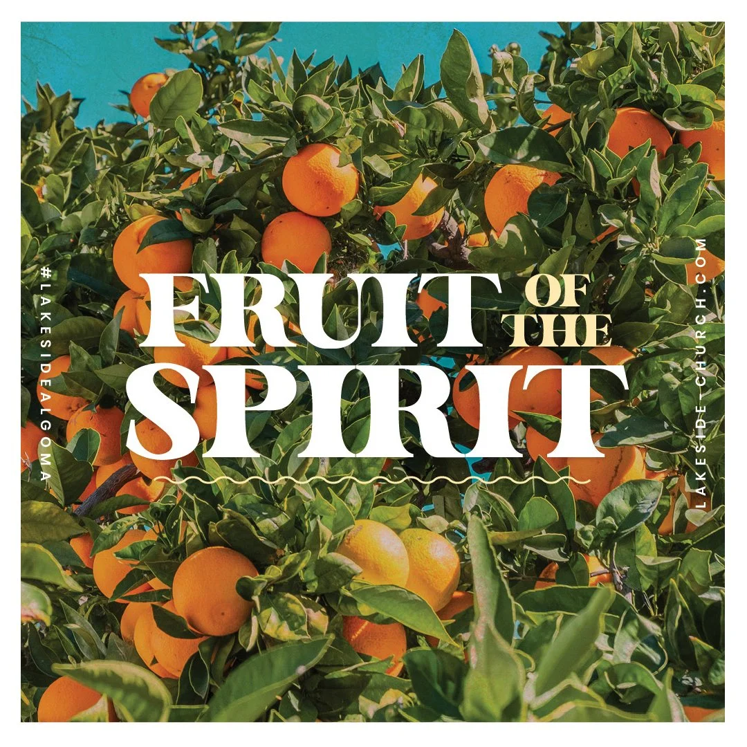 Fruit of the Spirit: Part 3