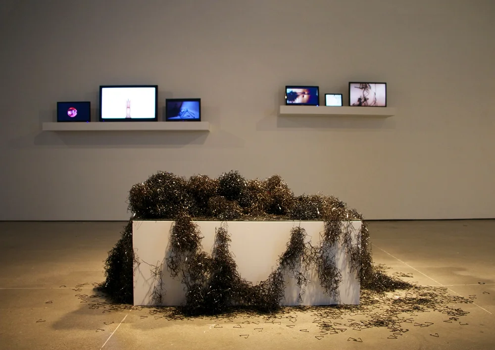 Cannestra_tstntgs_Installation_Left.jpg