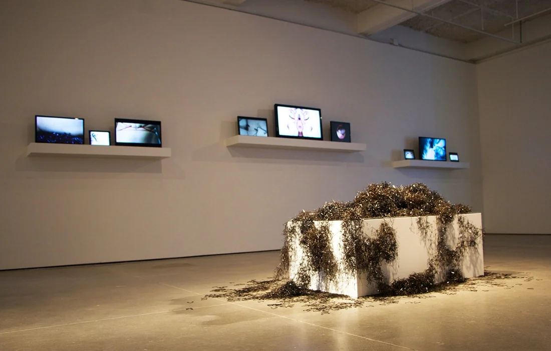 Cannestra_tstntgs_Installation_Right.jpg