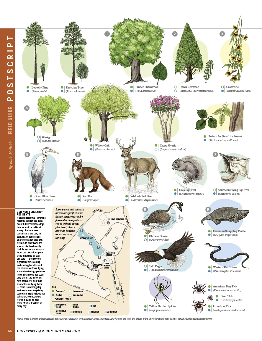 Postscript: Field Guide