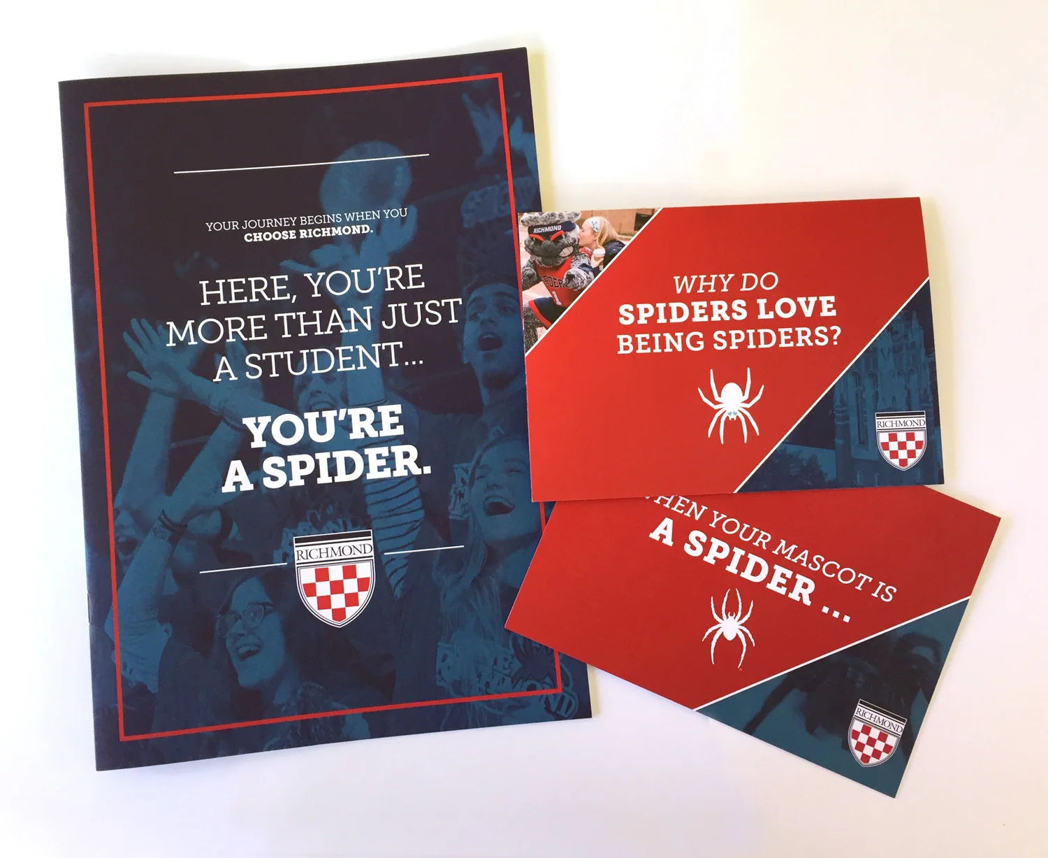 4-year-and-small-mailers.jpg