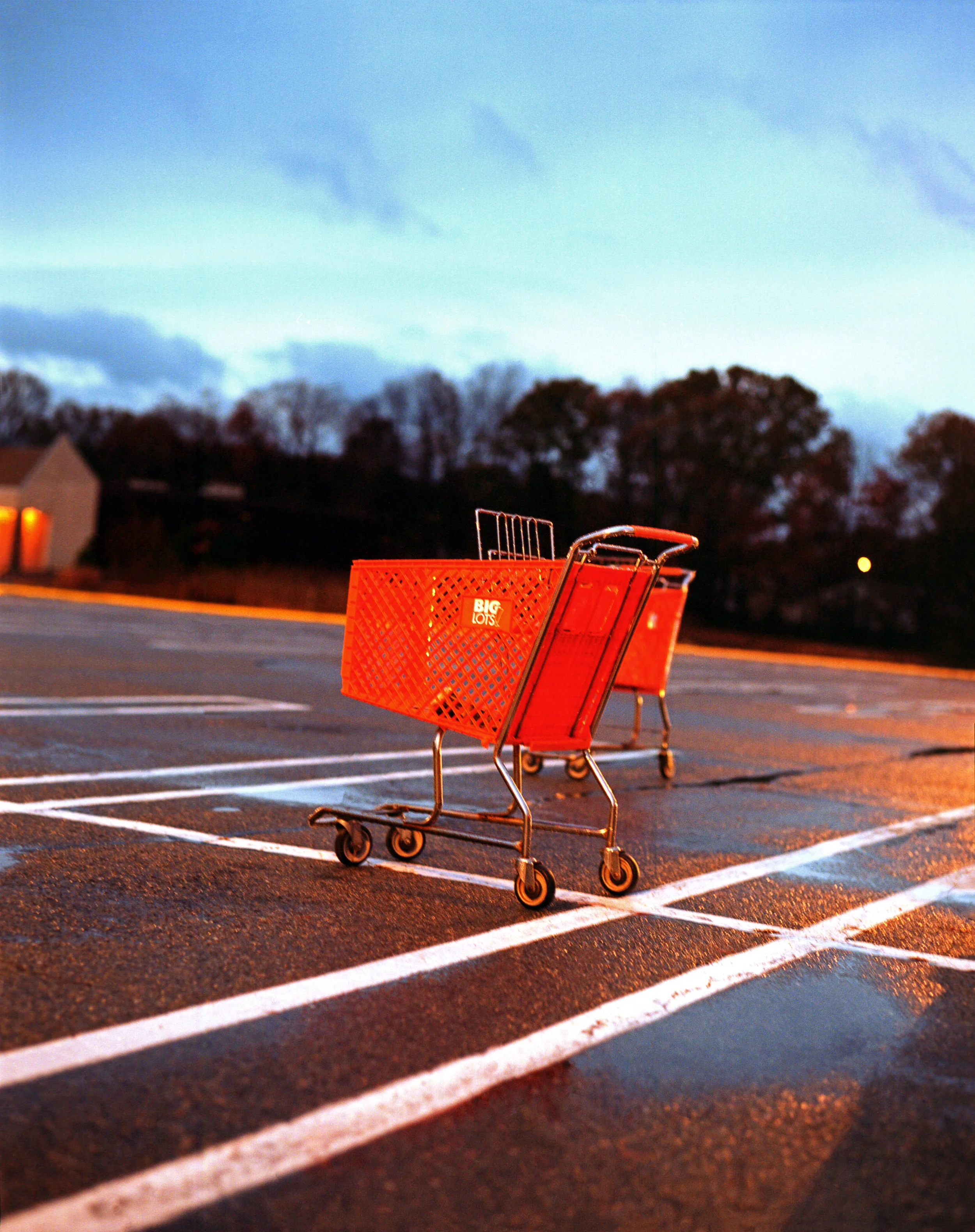 Thanksgiving1    .jpg