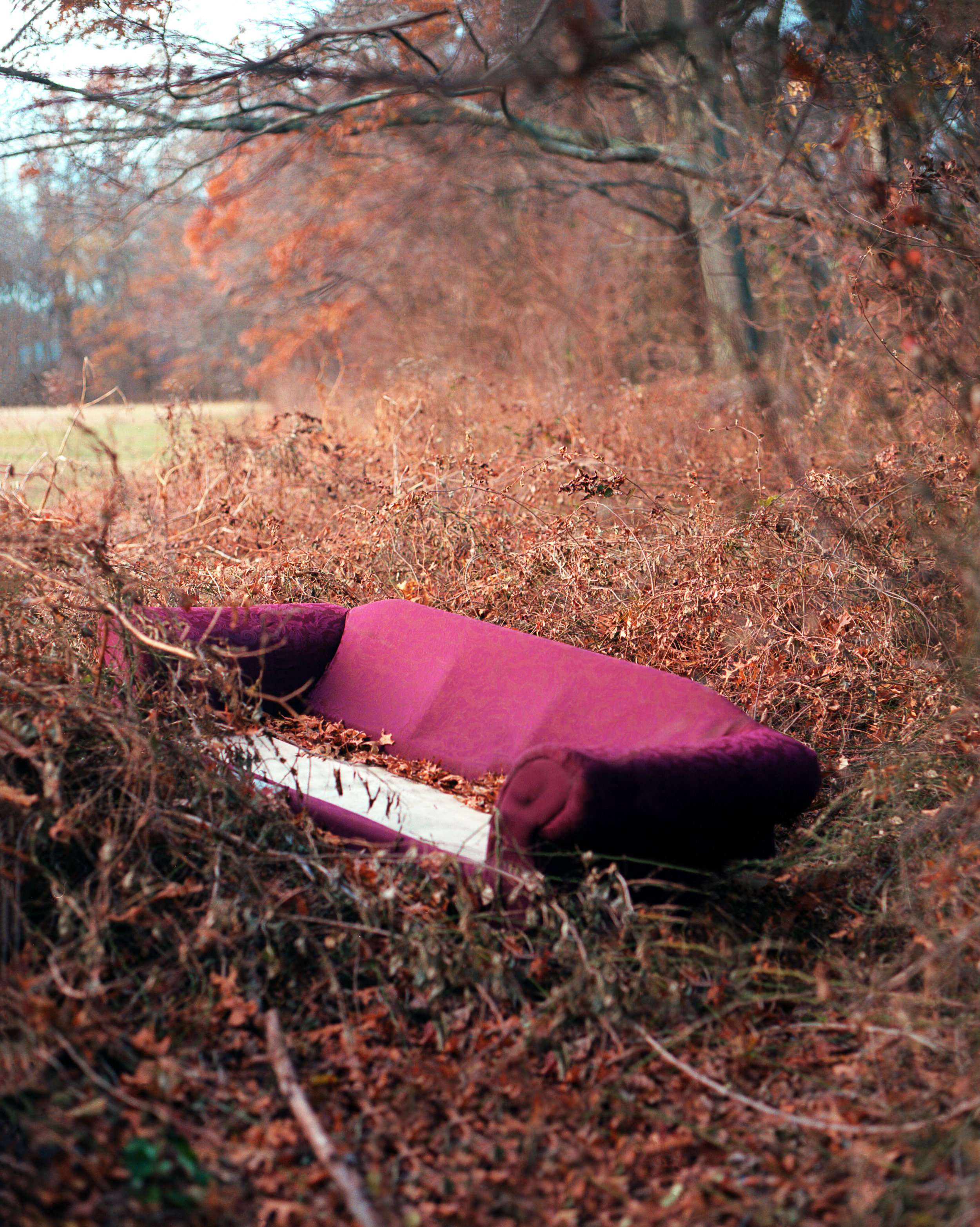 Thanksgiving25  .jpg