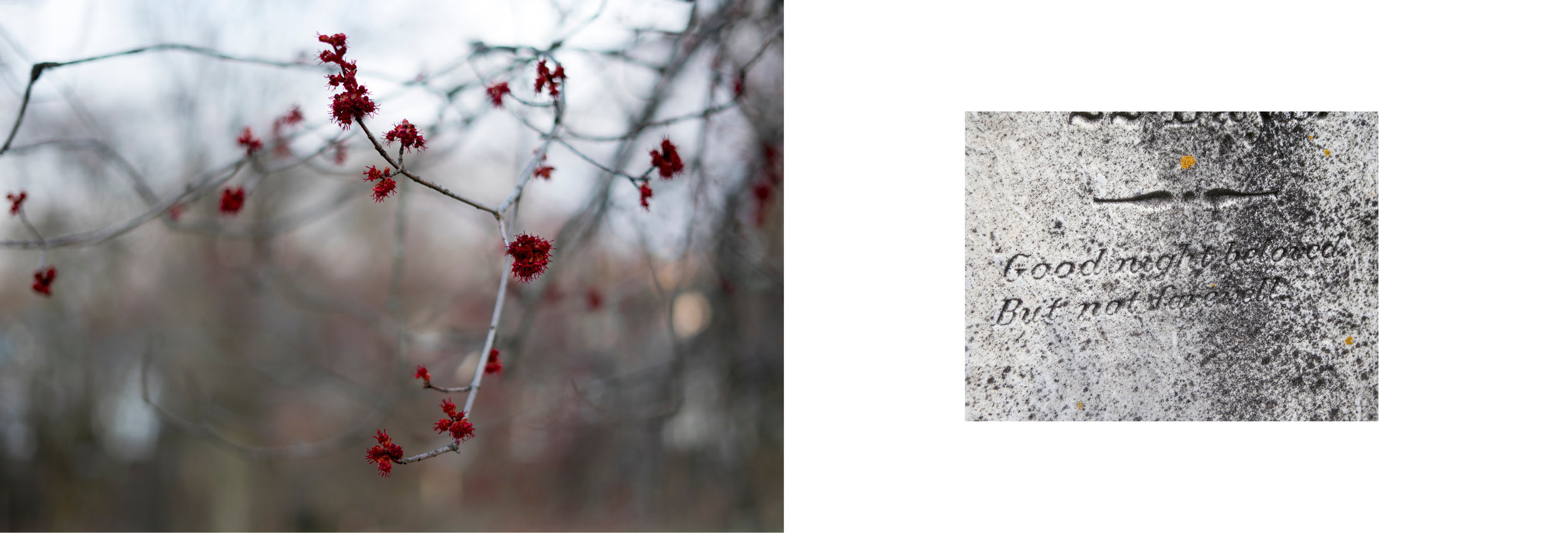 YA KNOW MAYBE THIS IS IT 29.jpg