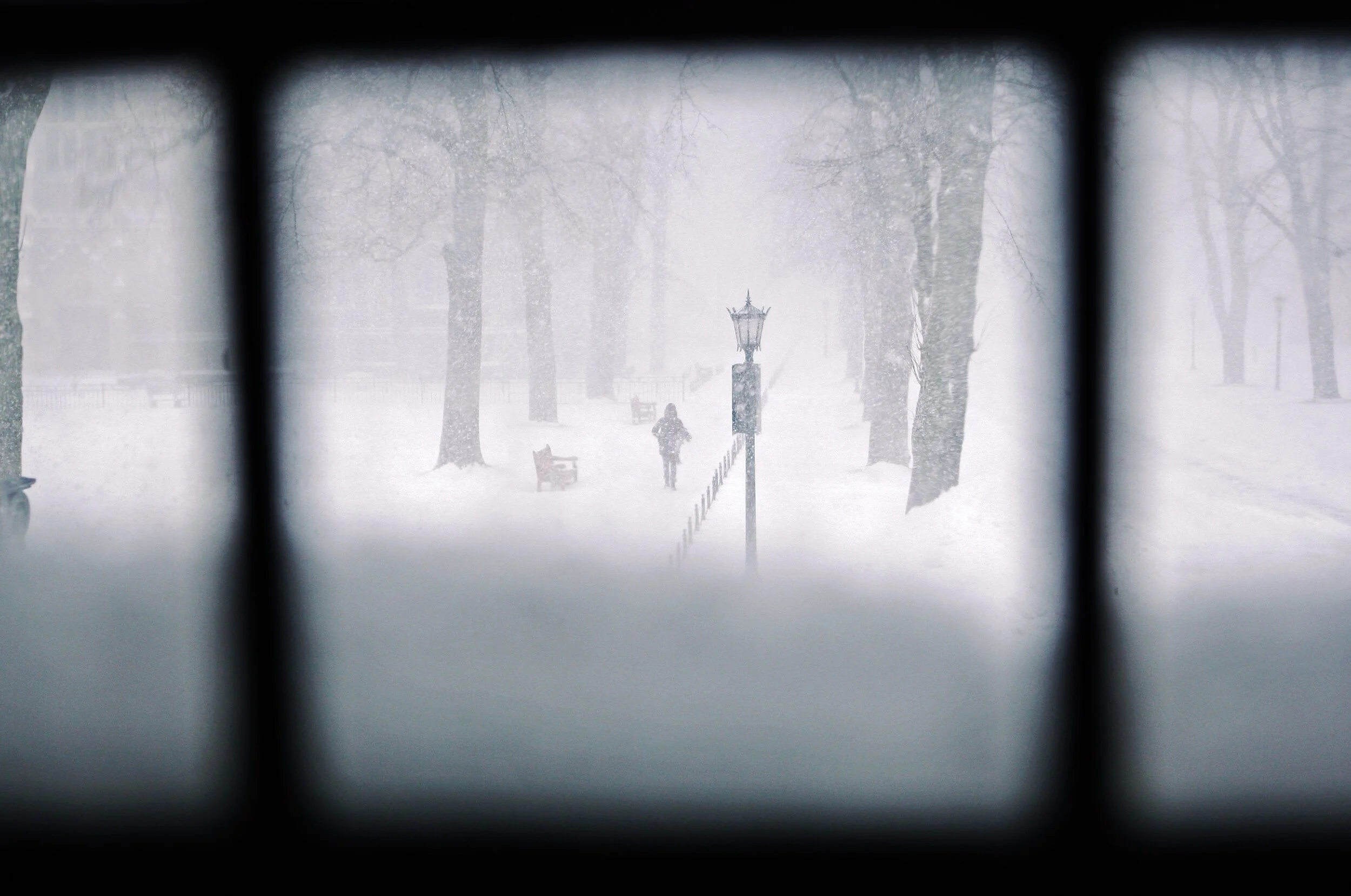  In the midst of a major snowstorm, Boston College students still made it to the library despite class cancellations due to high wind and extreme snowfall.    