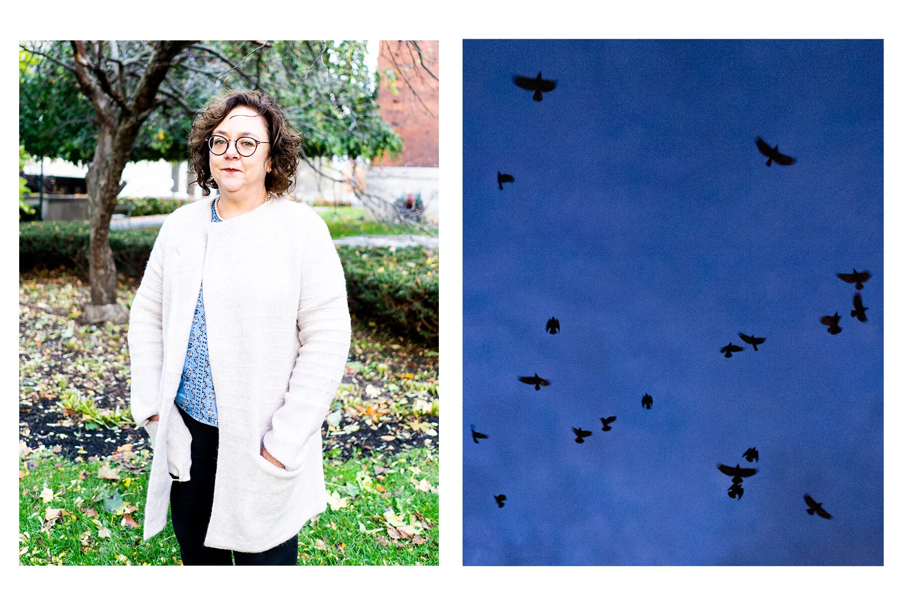  Each year, around twenty to thirty thousand crows descend on the city of Watertown, NY in the winter months, flying in from the countryside to roost in the warmer urban environment overnight. Some Watertown residents like Francee Calarco, pictured a