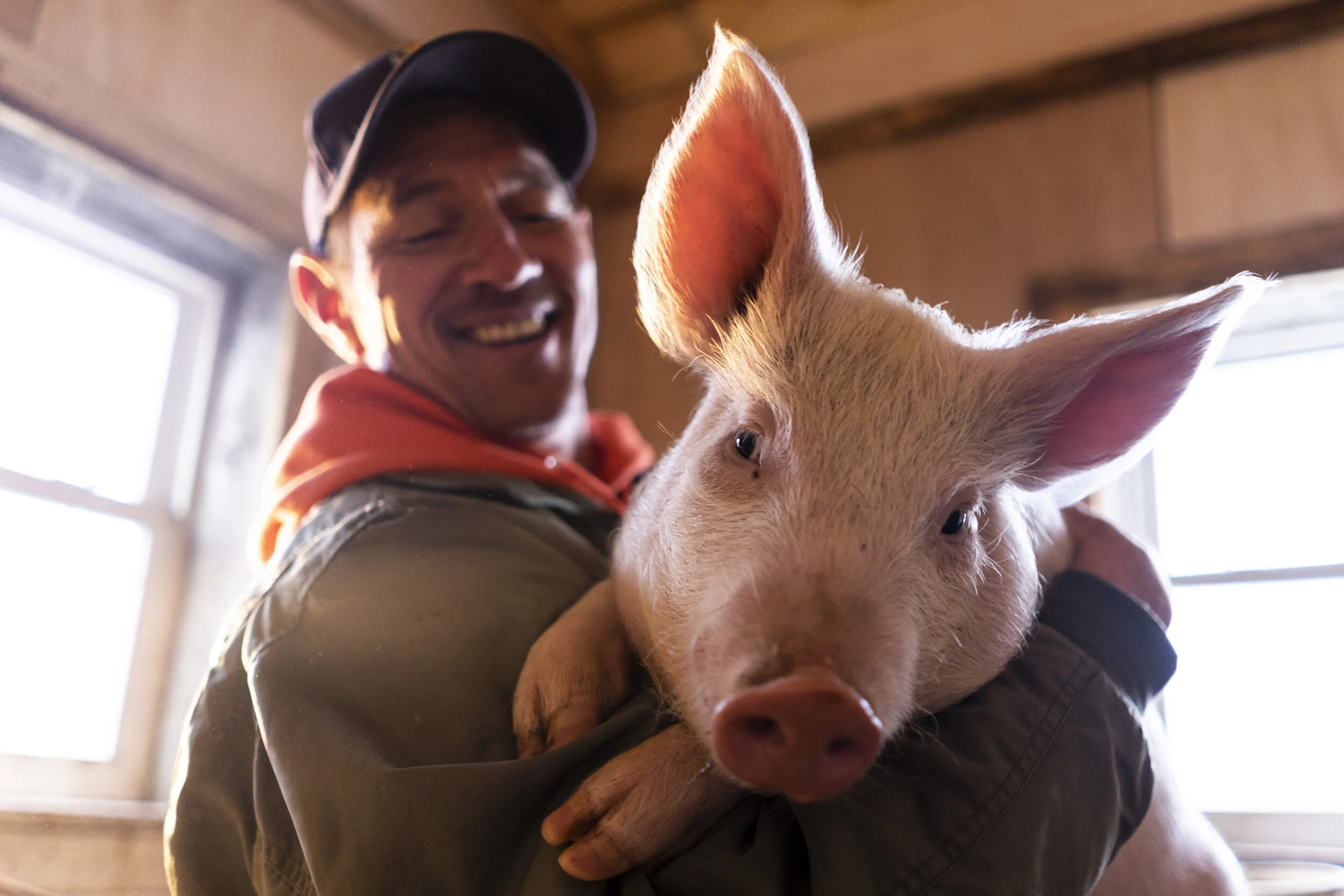 Jeff Garnsey, of Garnsey’s Feral Acres, holds the piglet Wilbur, one of the 44 animals that calls sanctuary home. Garnsey’s Feral Acres, a forever home for its residents, recently received non-profit designation, a step that will allow the sanctuary
