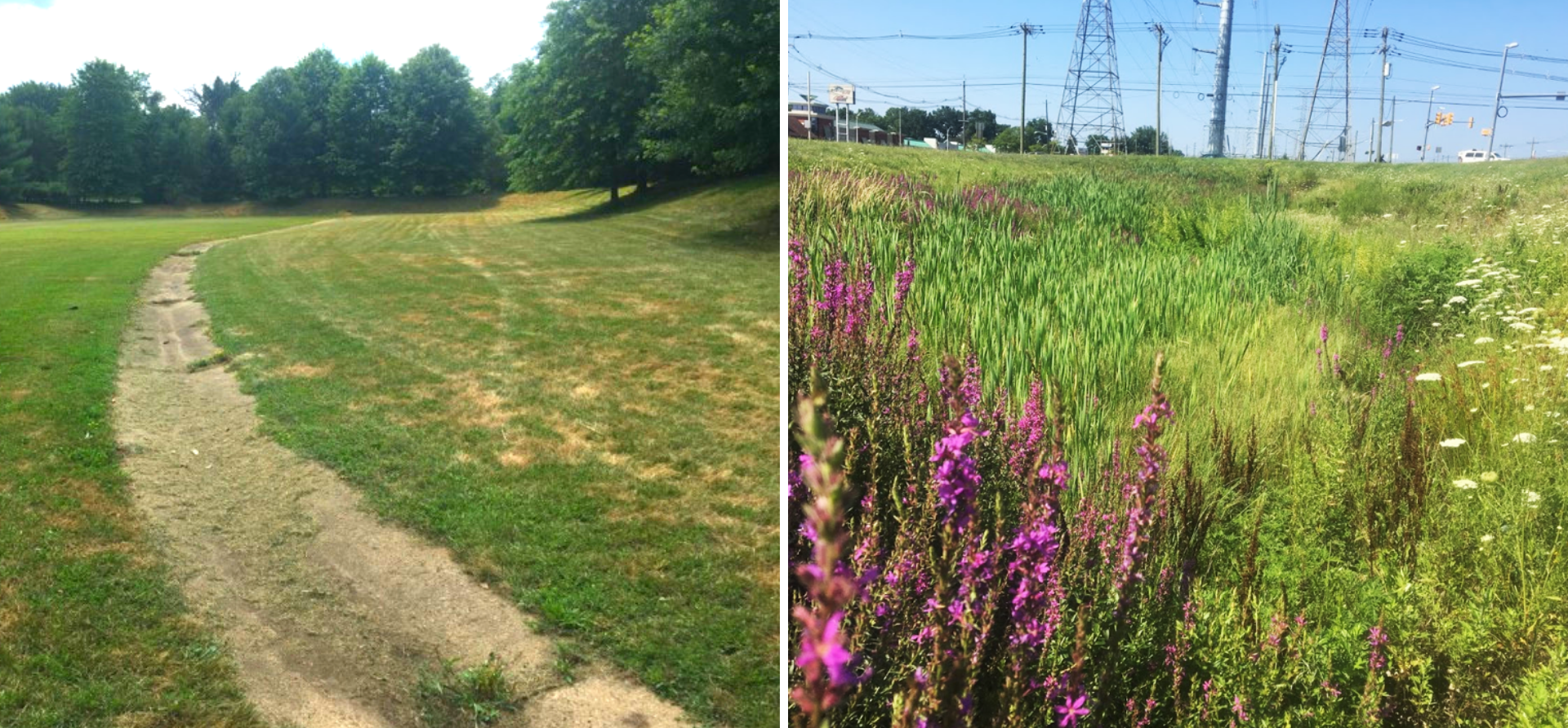 Figure 2. Two types of stormwater detention basins. On the left is the traditional style of basin with grass. On the right is an example of a basin that is lined with dense vegetation to remove pollution.