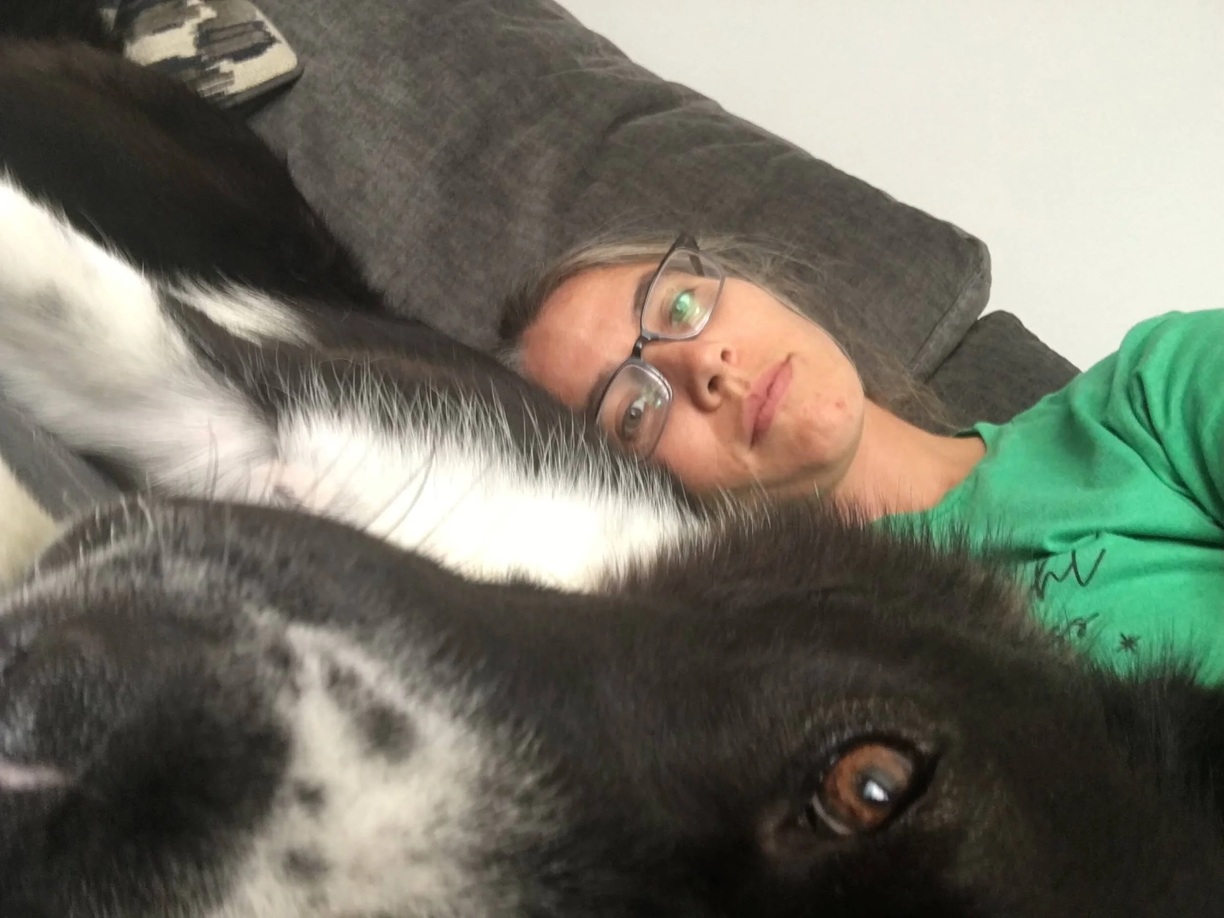 Mentorship in the PhD