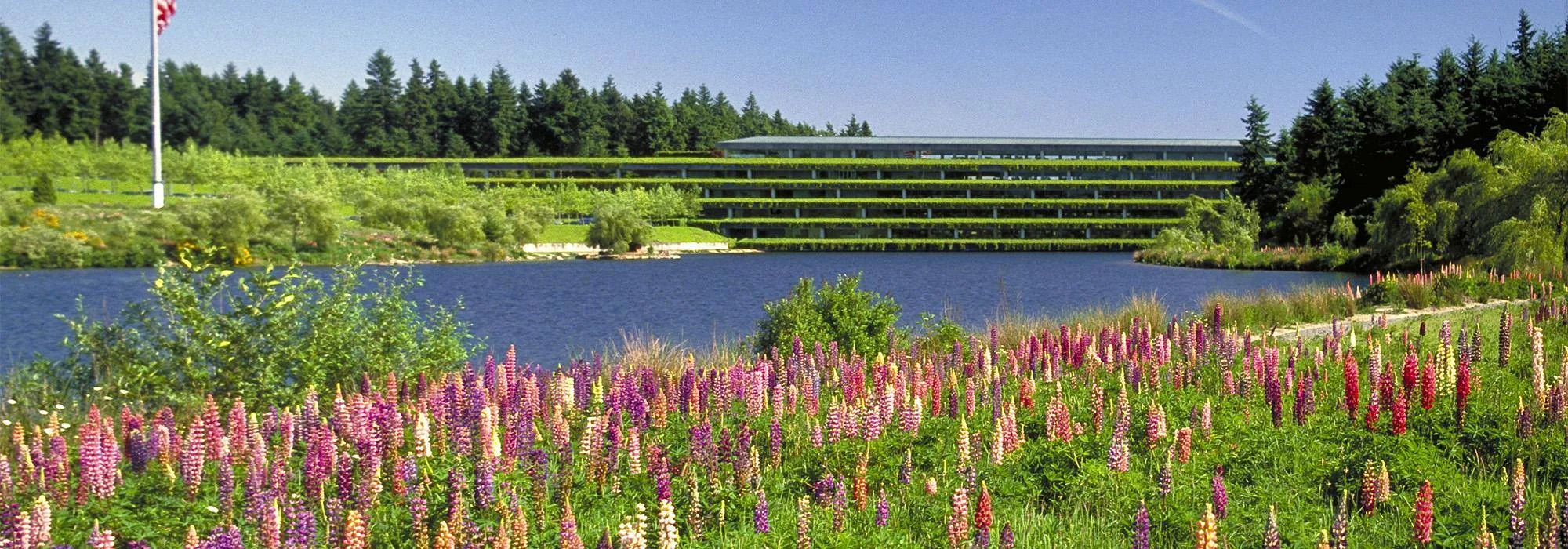 Figure 3: Weyerhaeuser Corporate Headquarters merges Modernism with environmental sensitivity