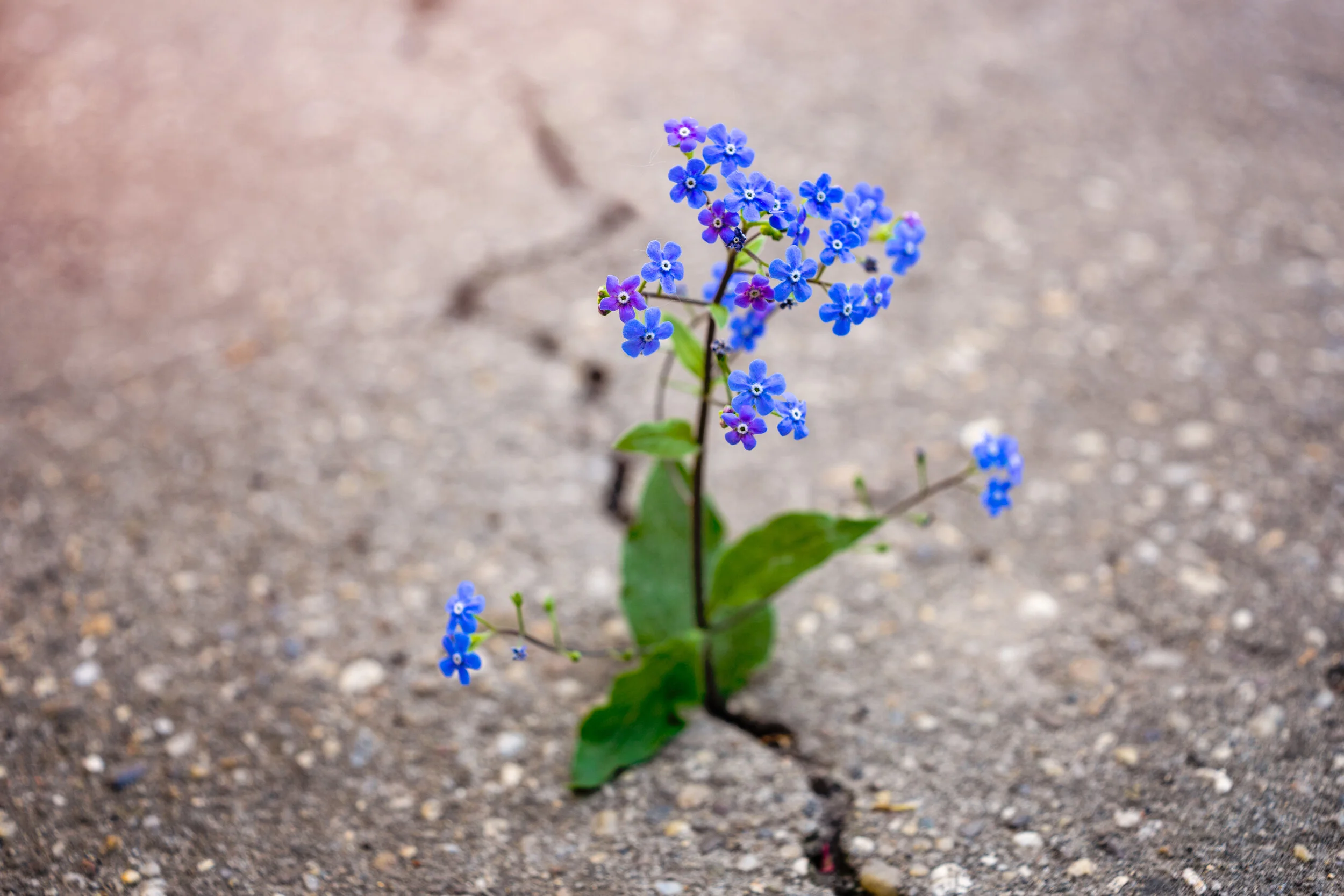 Pressing Pause to Focus on the Positive