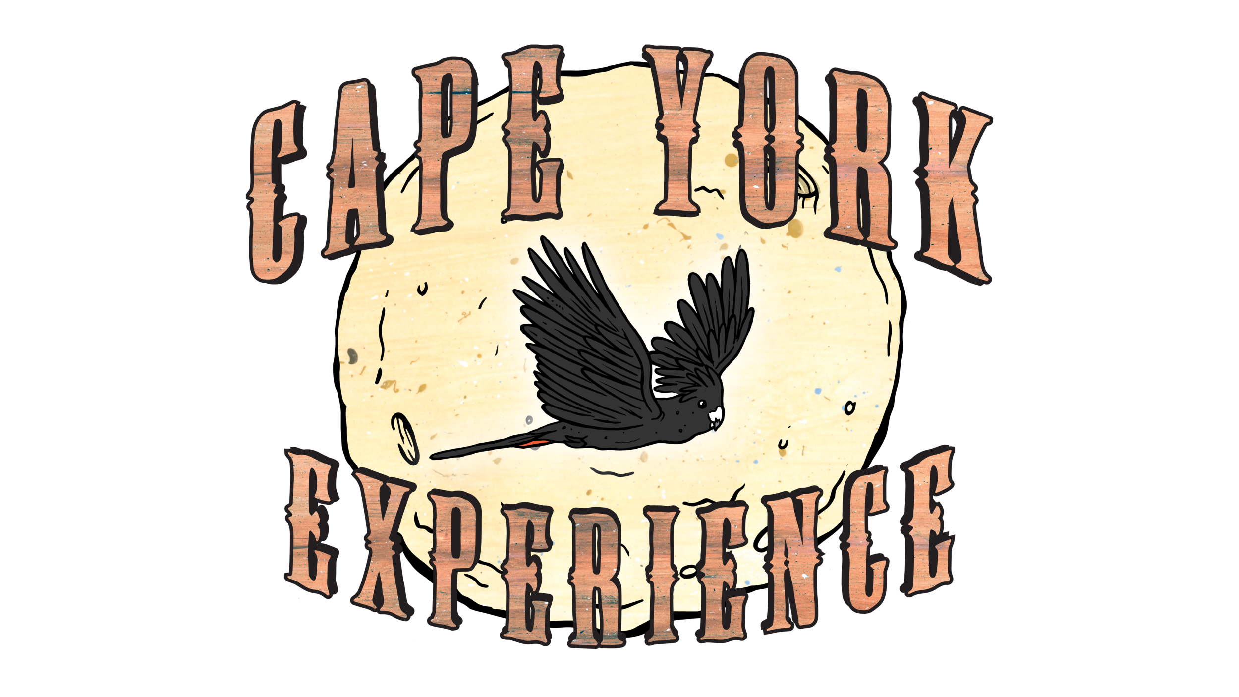 CYE_LOGO_TRANSPARENT.png