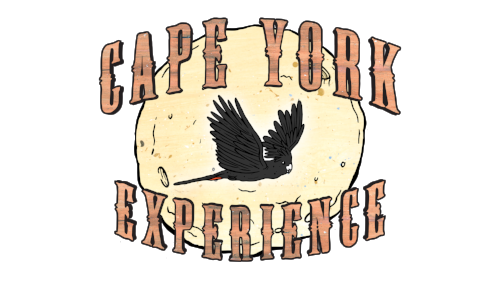 CYE_LOGO_TRANSPARENT.png