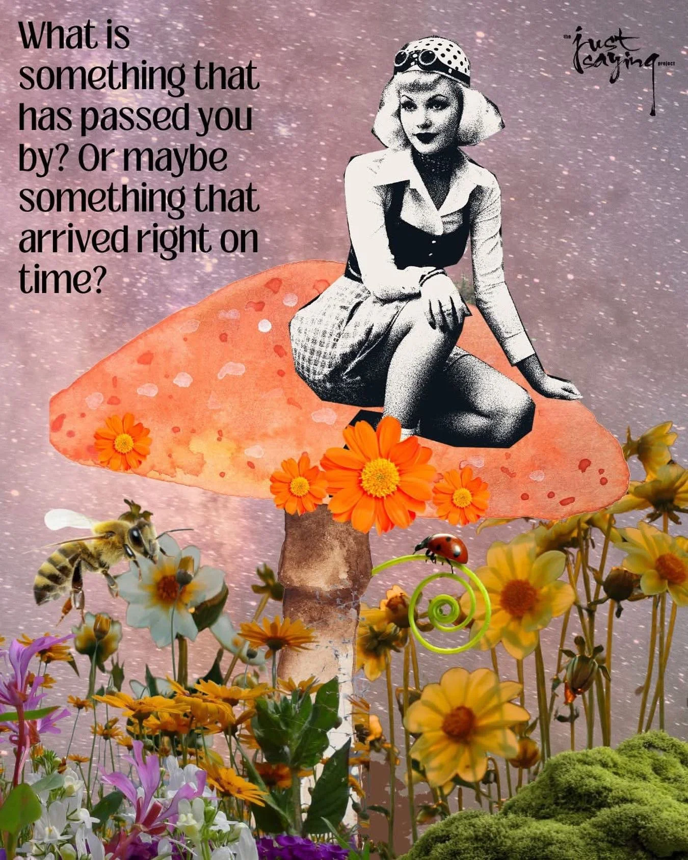 &ldquo;The things that are meant for you don&rsquo;t pass you.&rdquo;

I have come across this saying many times, in fact  a few of my favourite women in the world have shared these words with me. 

It is one of those quotes that can be very reflecti