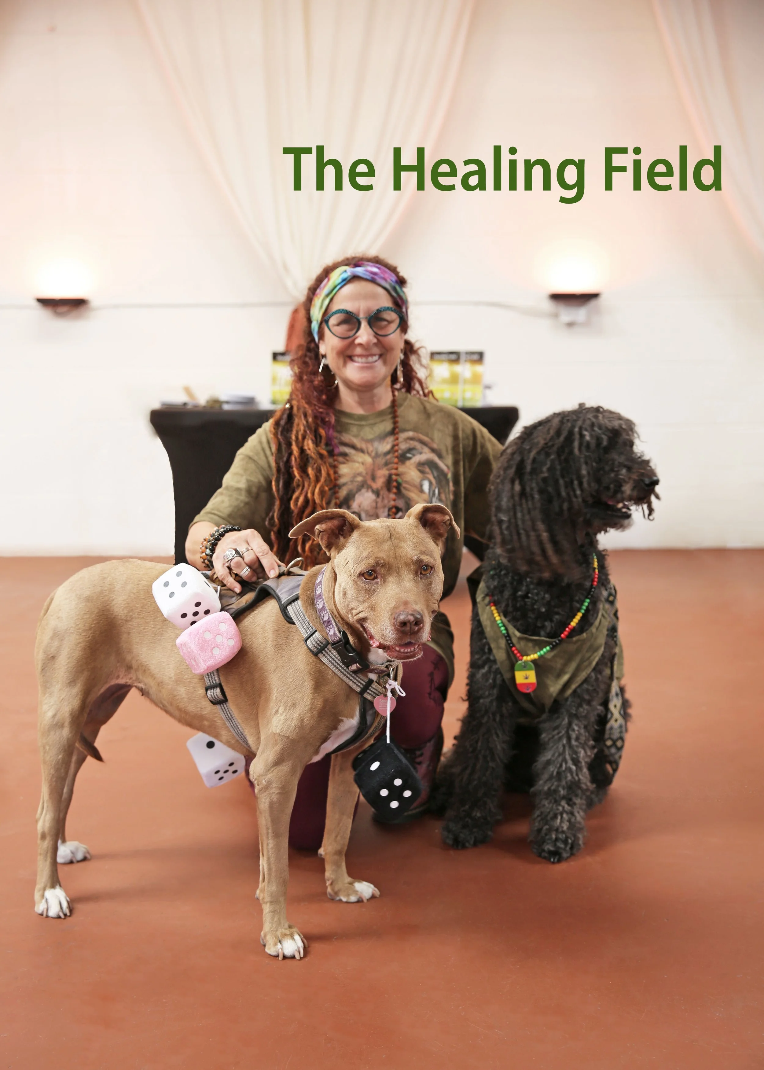 Sponsors-The Healing Field 2A.jpg