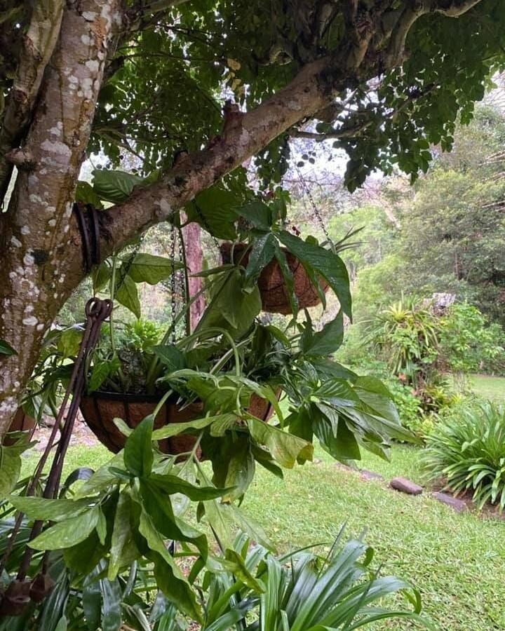 Green Haus by Inca visited this week and worked hard in my garden ❤️❤️❤️