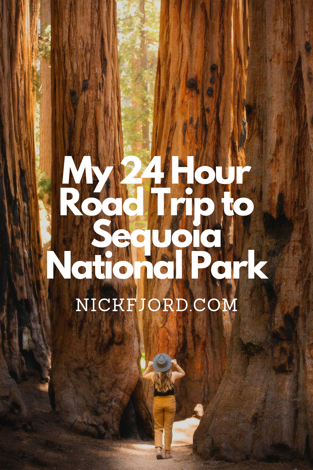 My 24 Hour Road Trip to Sequoia National Park