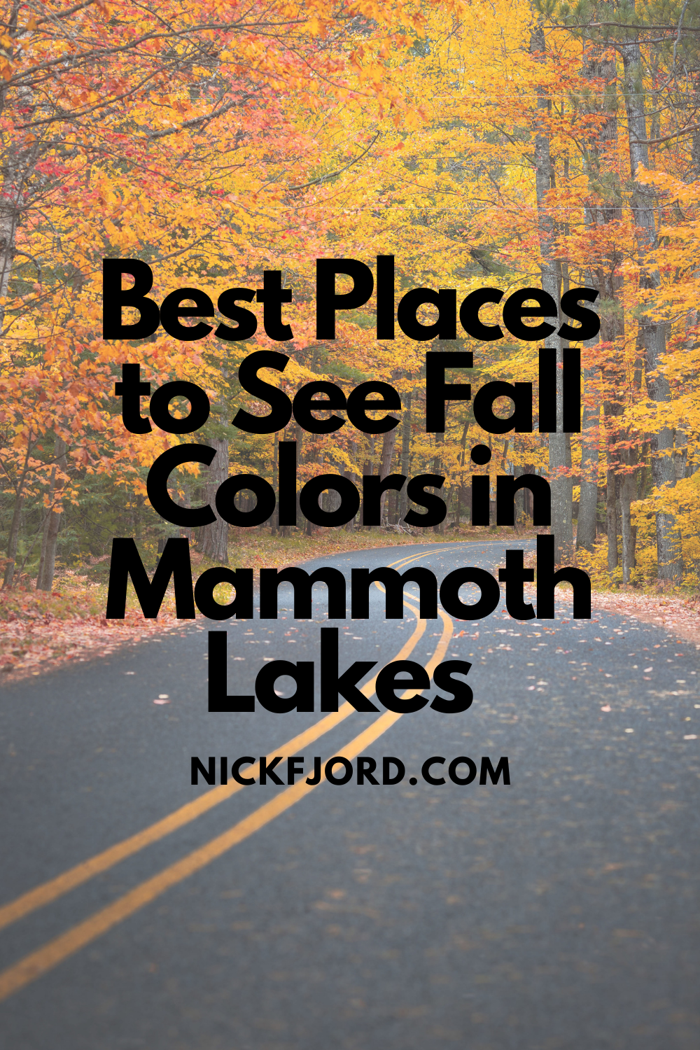 Best Places to See Fall Colors in Mammoth Lakes - Go Now