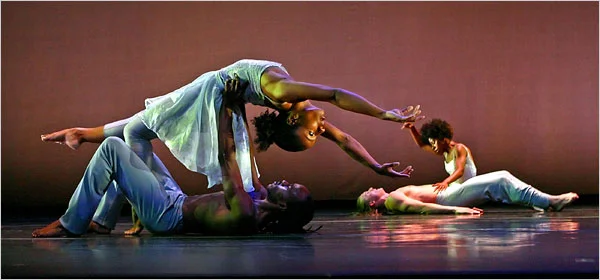 New York Times Arts Section, 2006