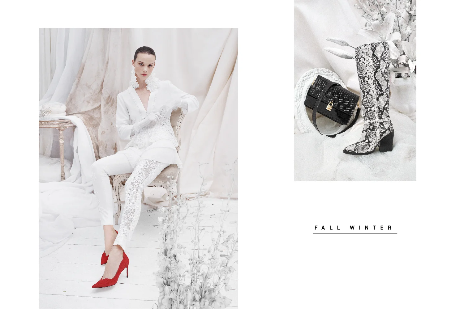 MINGO FAUNA_Mesa de trabajo 1 copia 2.jpg