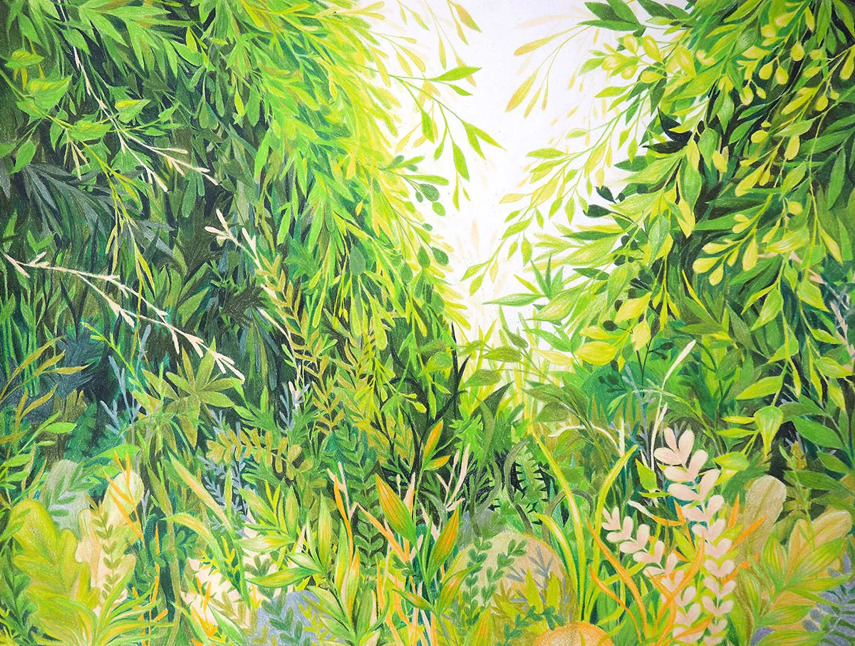 Liz Nugent - Plants 3.jpg