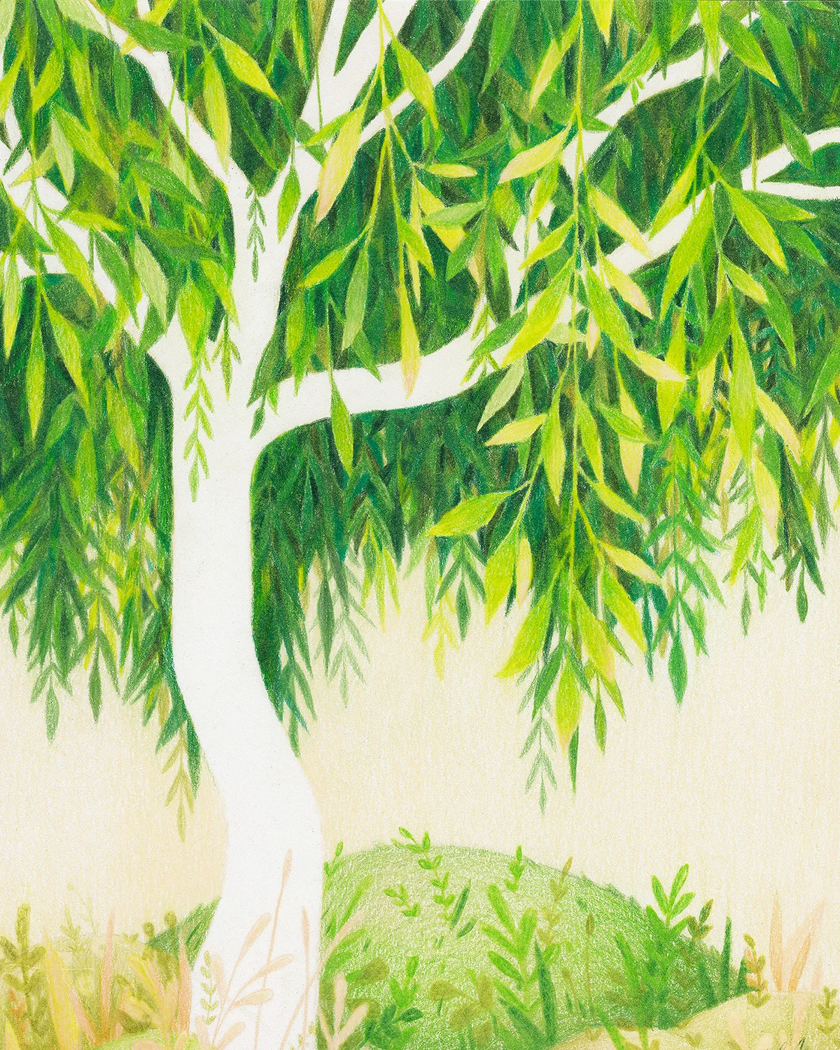 liznugent-greenwillow1.jpg