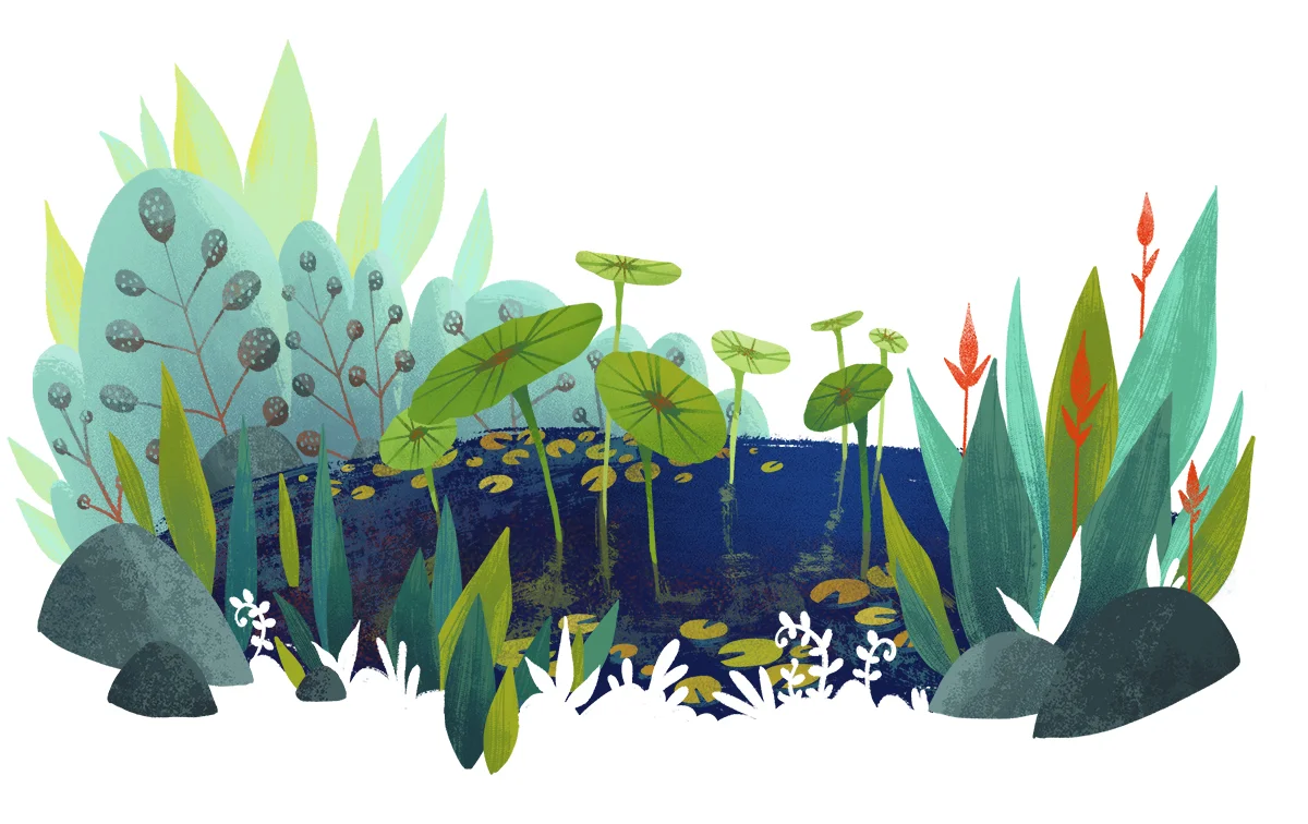 lilypads.jpg