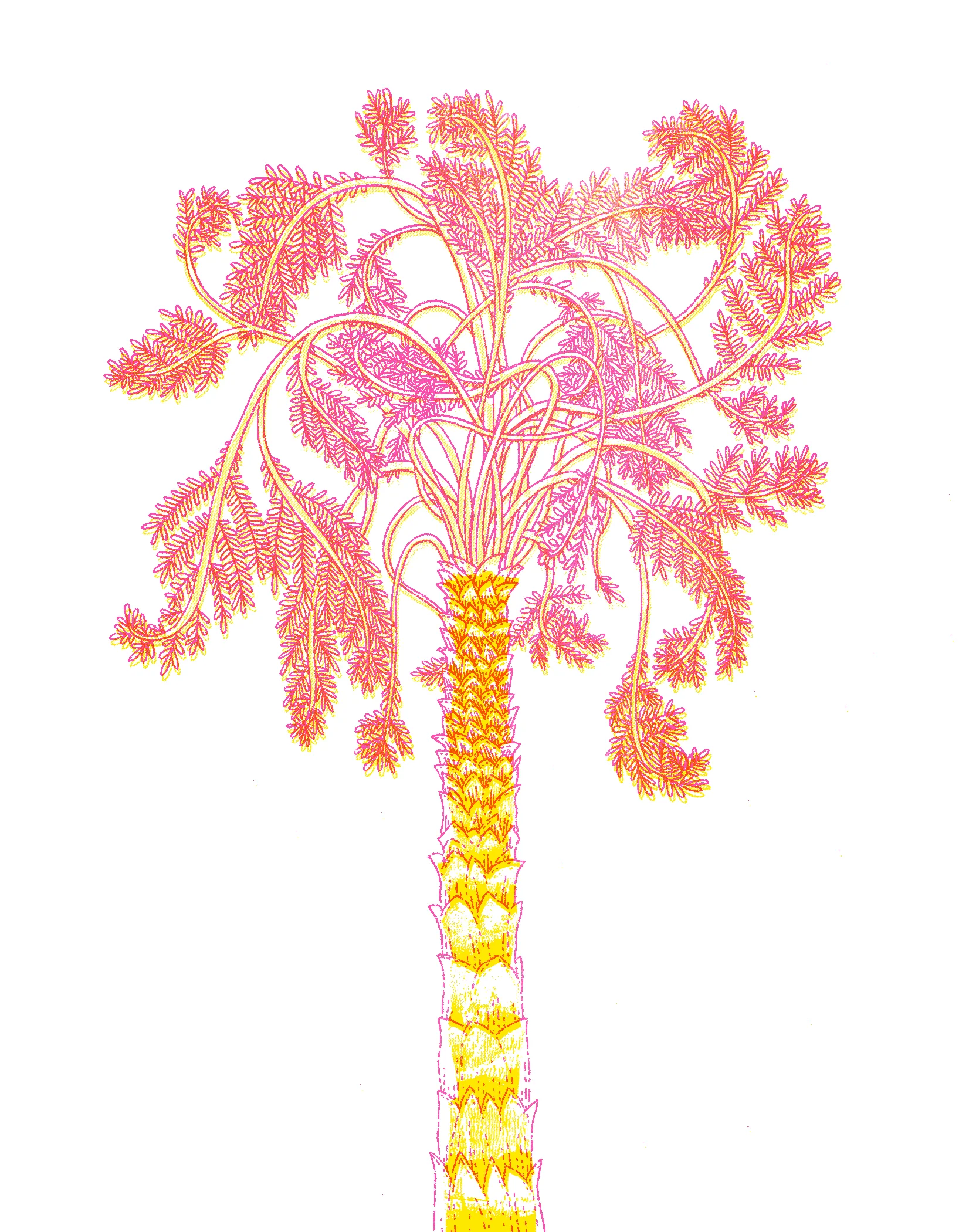 palm 1 fake riso.jpg