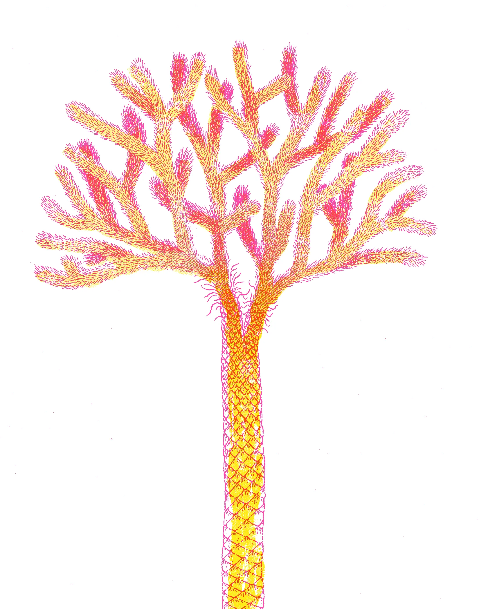 palm 2 fake riso.jpg