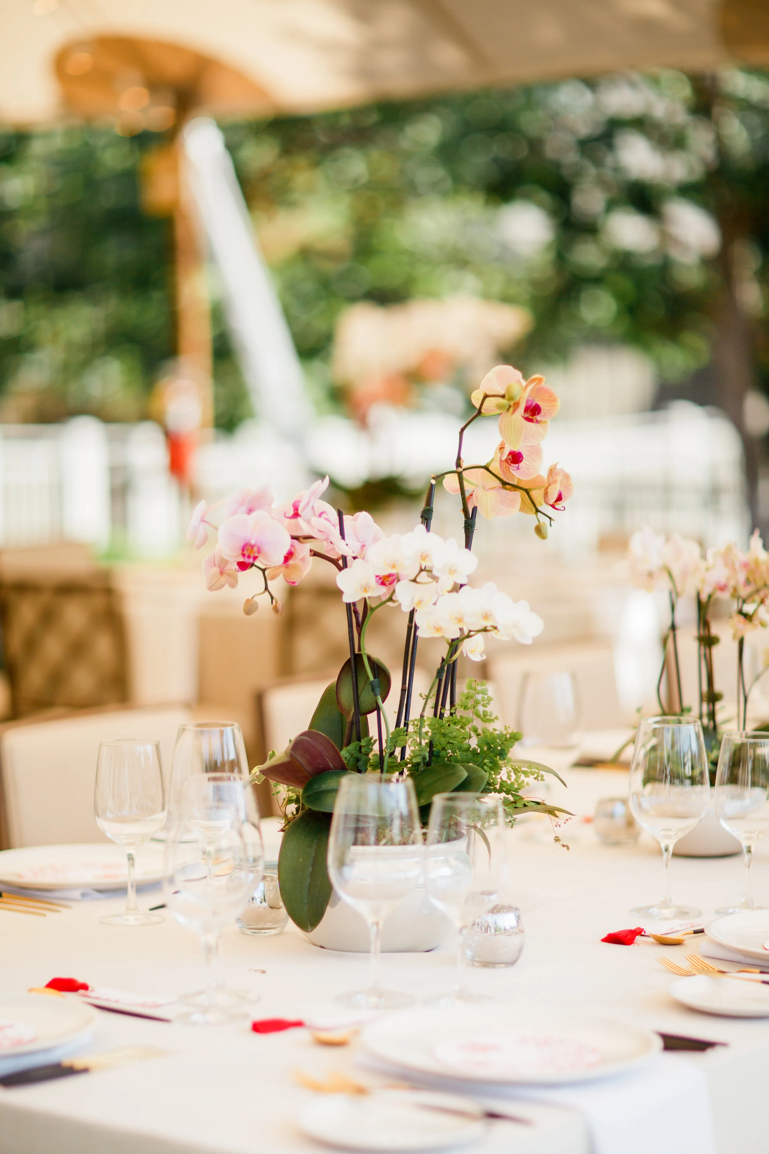  All the cocktail and dinner tables were decorated with potted orchids and succulents arranged by the Bride’s mother, Sarah. 