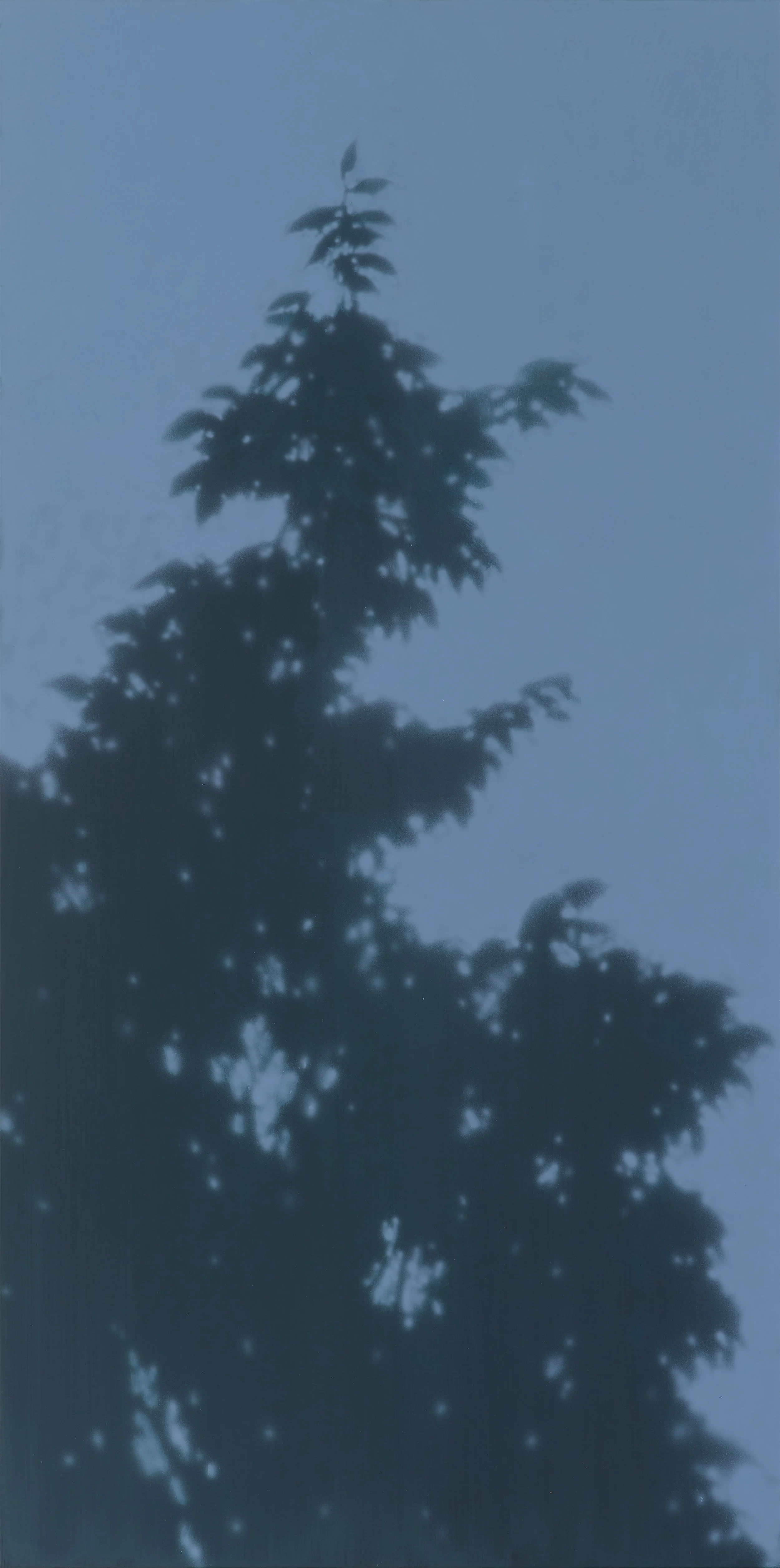 (2)nature - image 60 x120cm acrylic on canvas 2018.jpg
