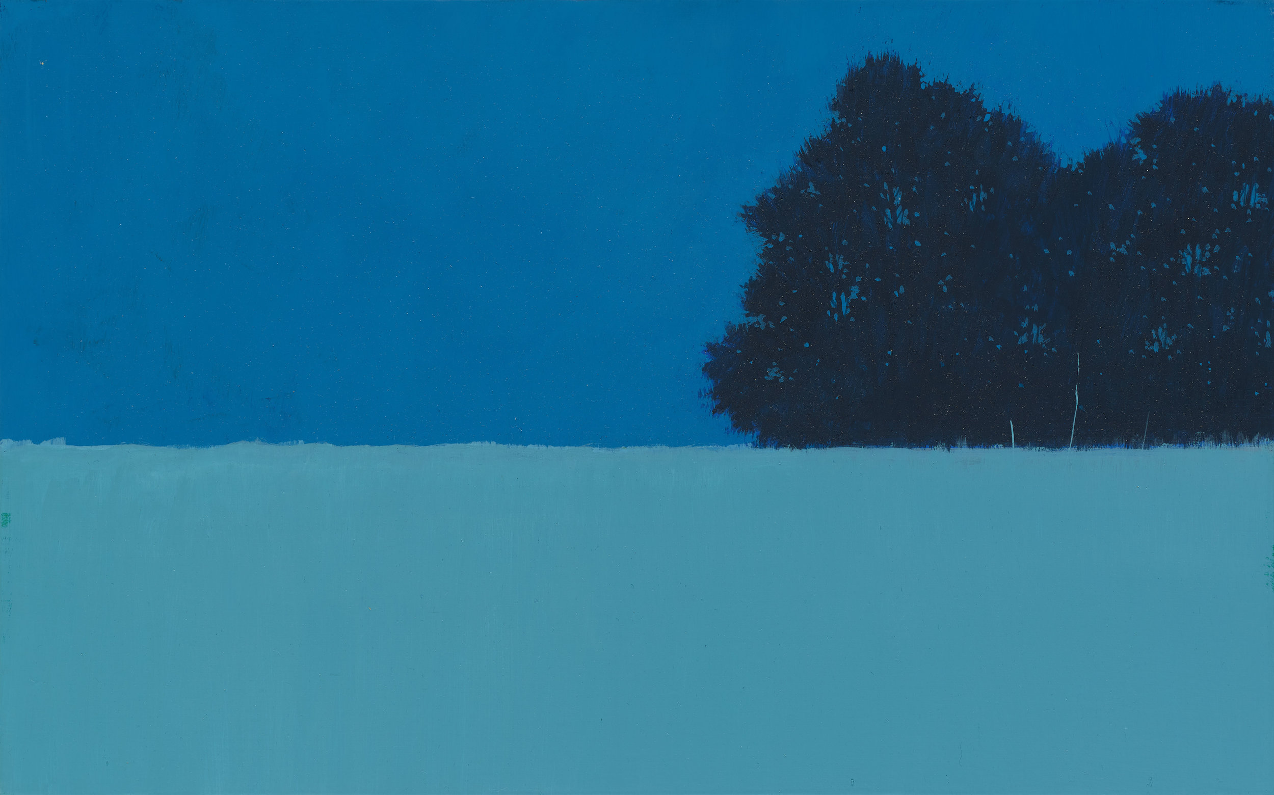 nature - image / 53 x 33.4 cm / acrylic on canvas / 2018