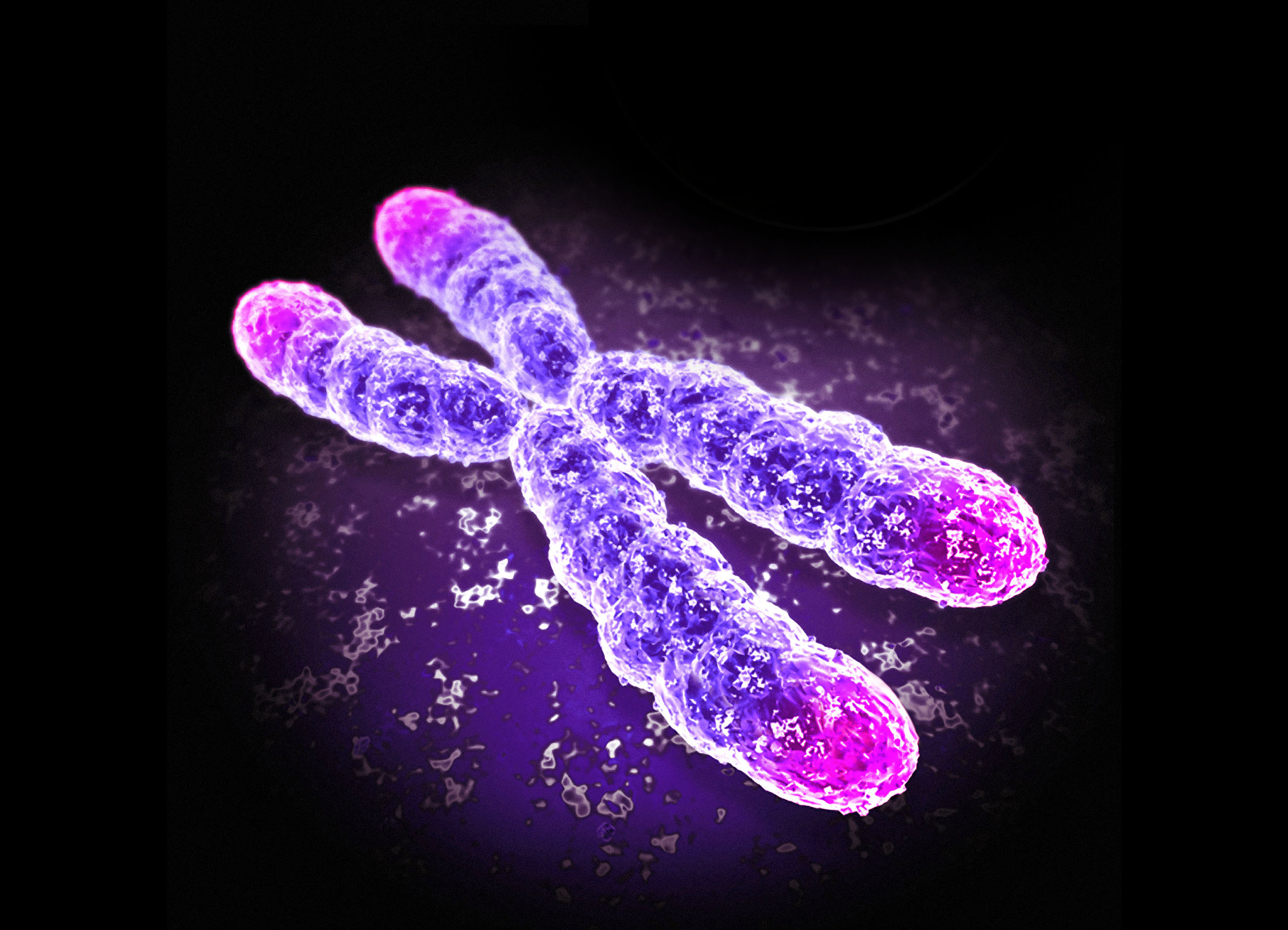 Хромосомы живых клеток. Хромосома 5q32. Хромосомы картинки. Y хромосома. Генетика хромосомы.