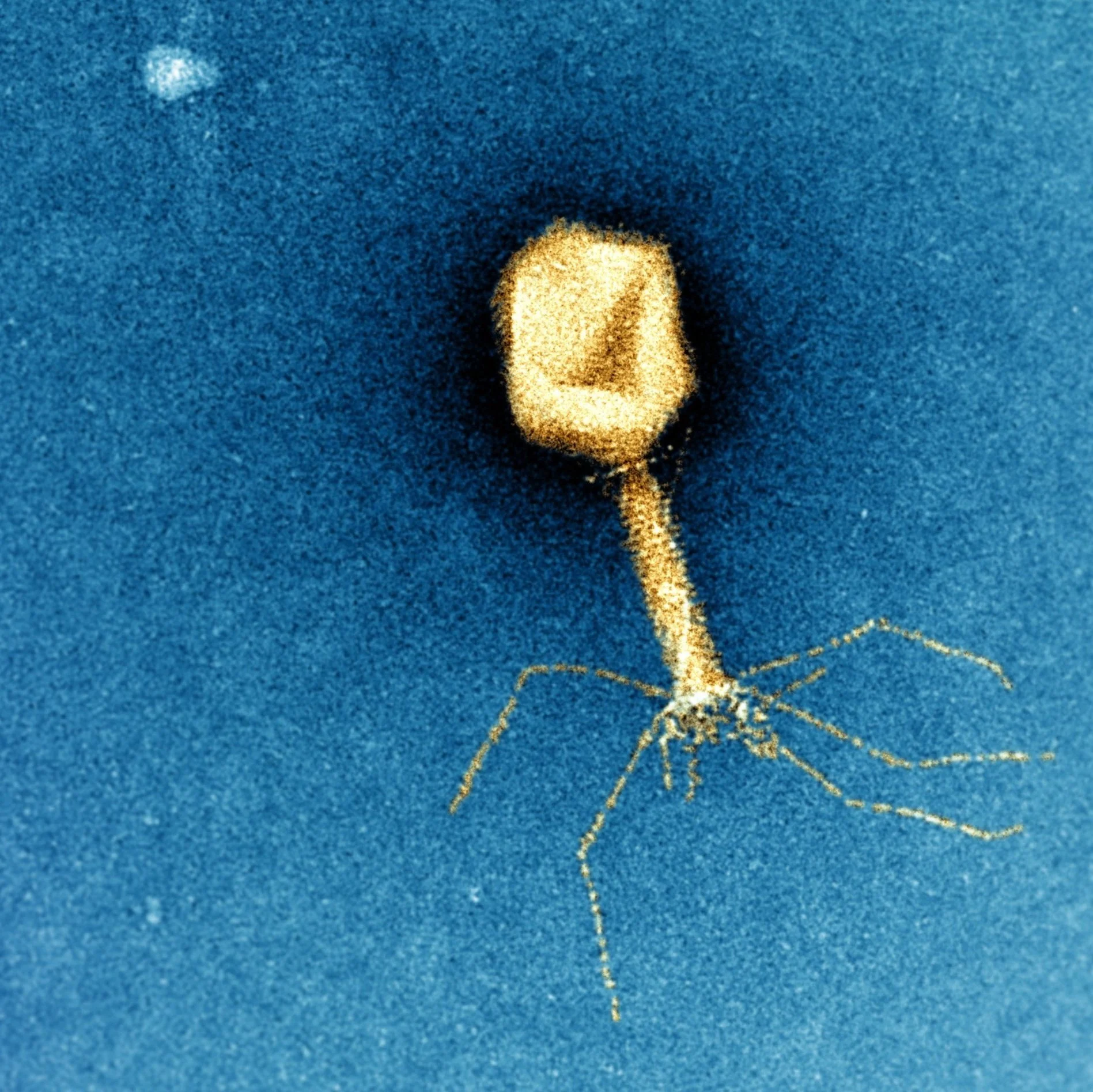 ‘Last Chance to Save a Life’ coming soon