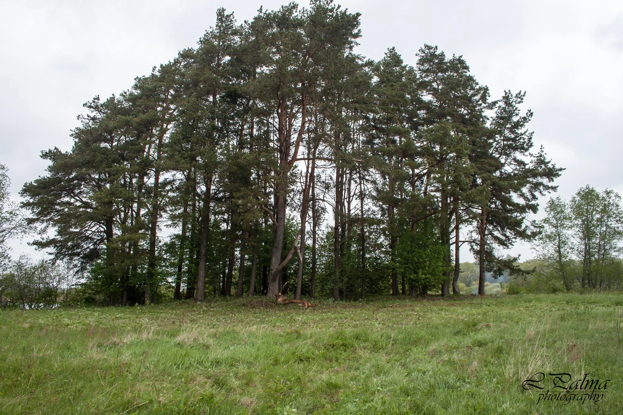 Riņņukalna publiskā lekcija