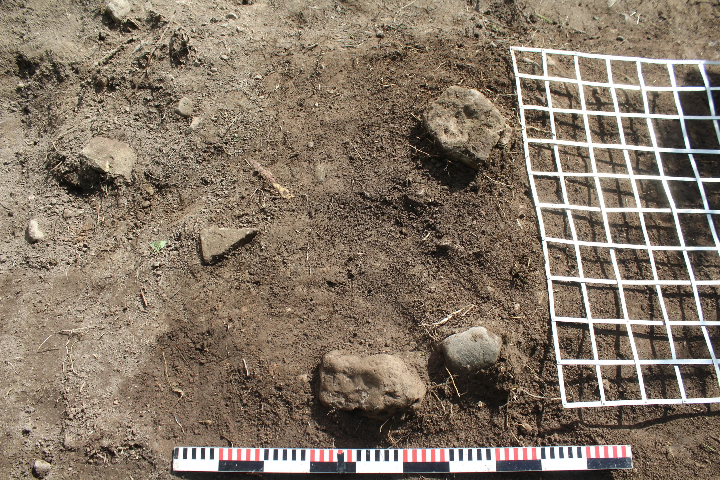 Ieskats Latvijas arheologu biedrības rīkotajā plenērā Mežotnes pilskalna senpilsētā