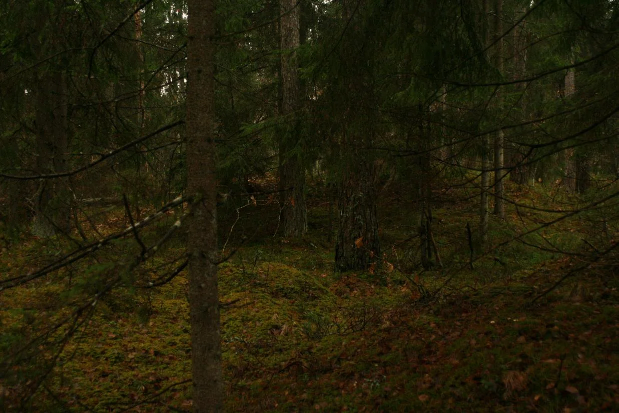 09.jpg