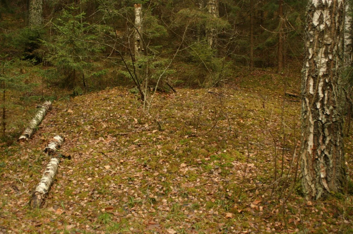 14.jpg